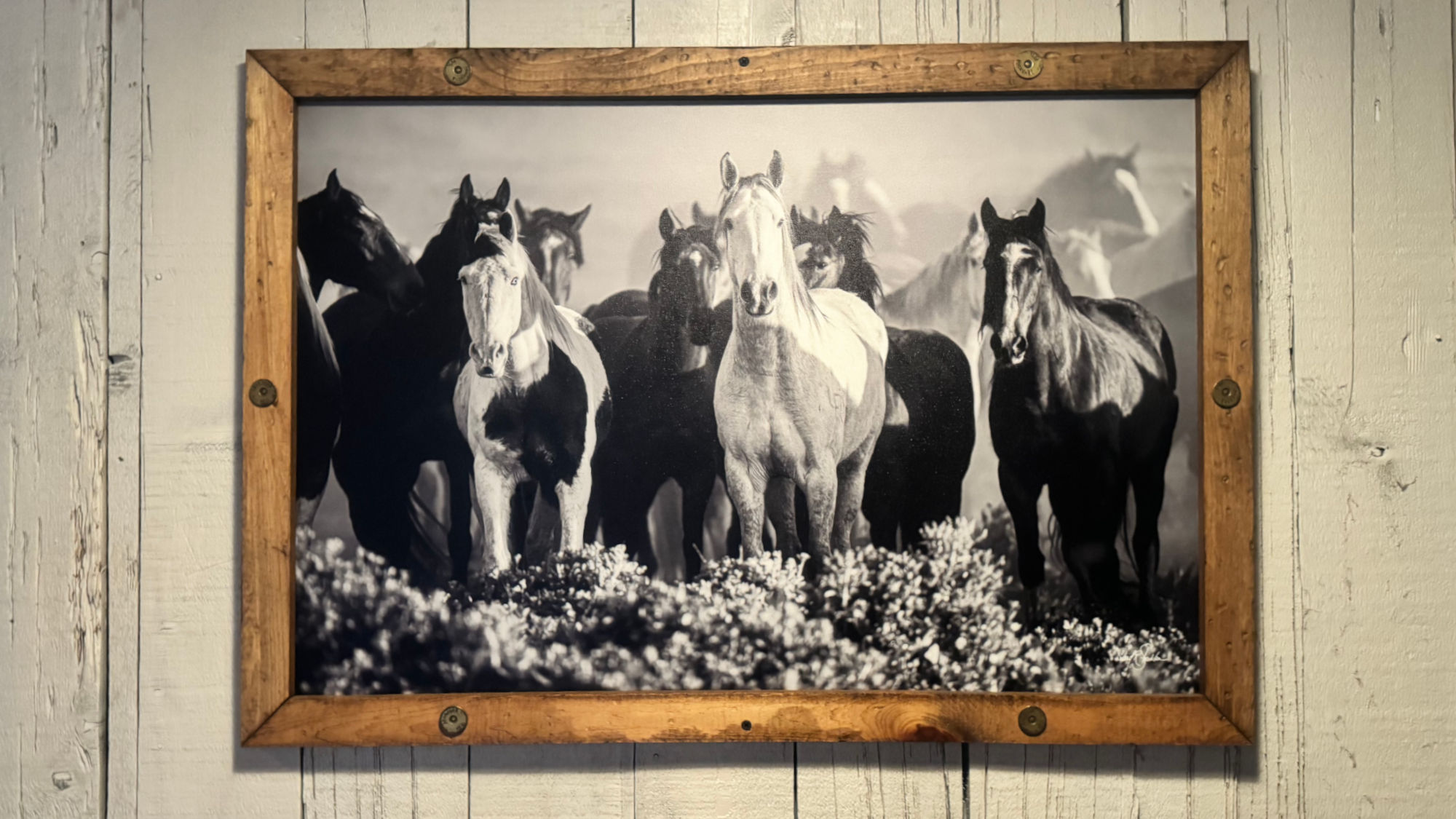 Horses Black Angus Decor Horses