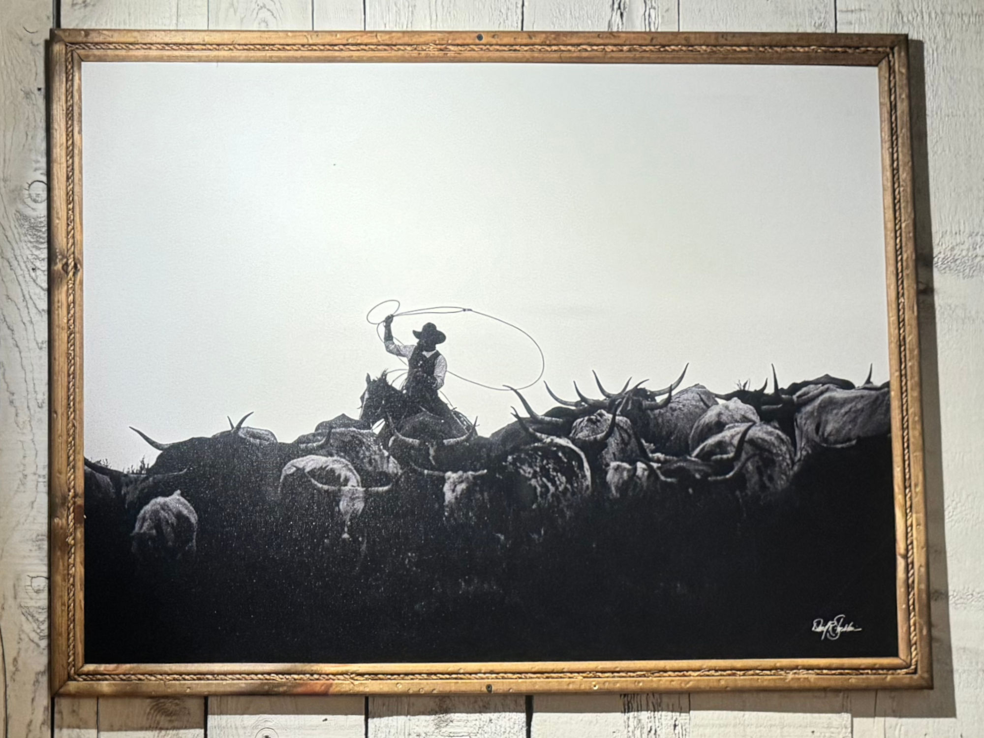 Roping Cattle Black Angus Decor Roping Cattle