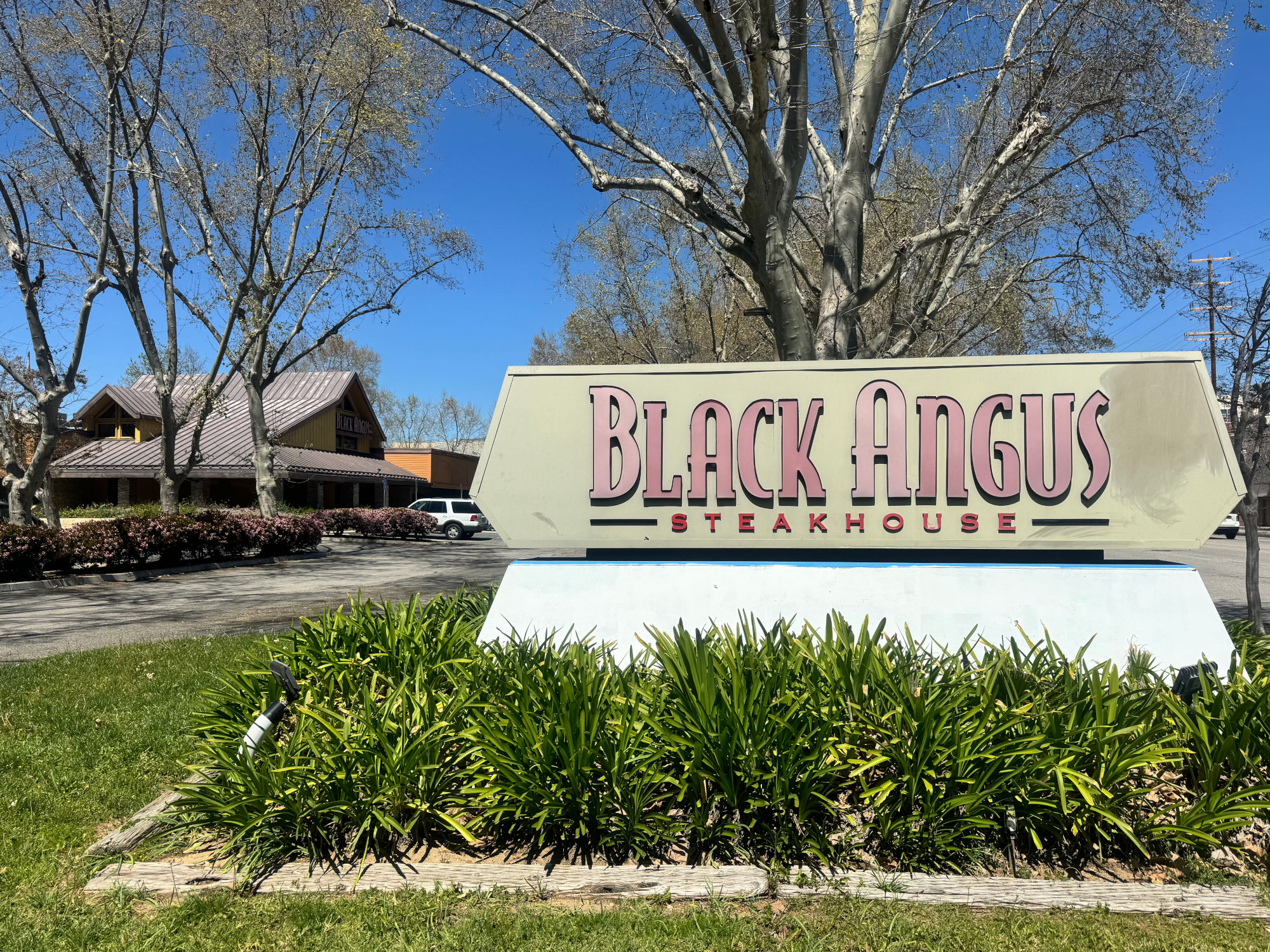 Black Angus