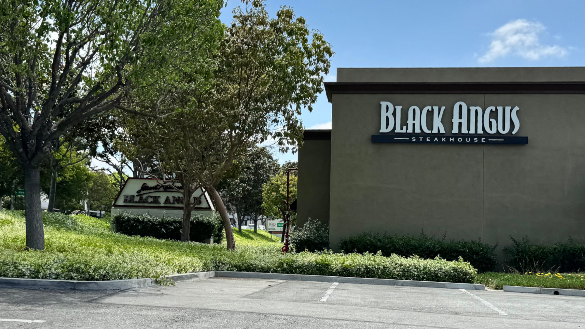 Whittier Back Black Angus Whittier Back