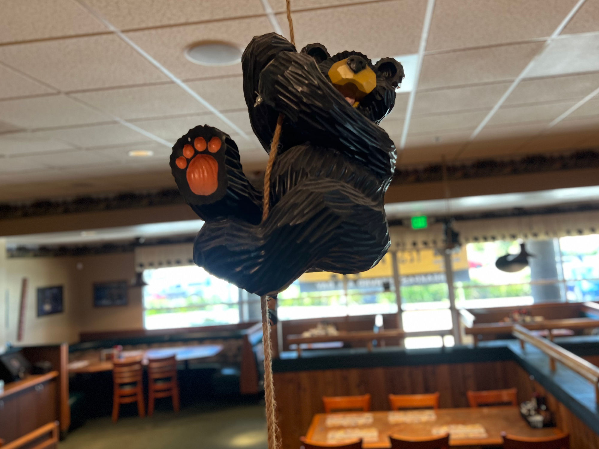 Black Bear Diner Climbing Bear