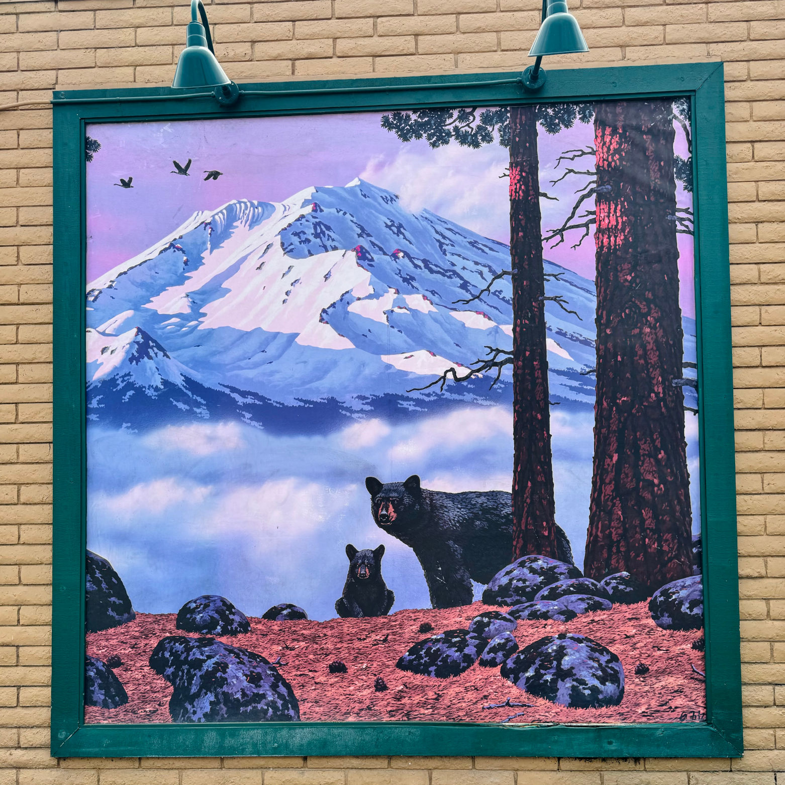 Mountain Bear Black Bear Diner Mountain Bear