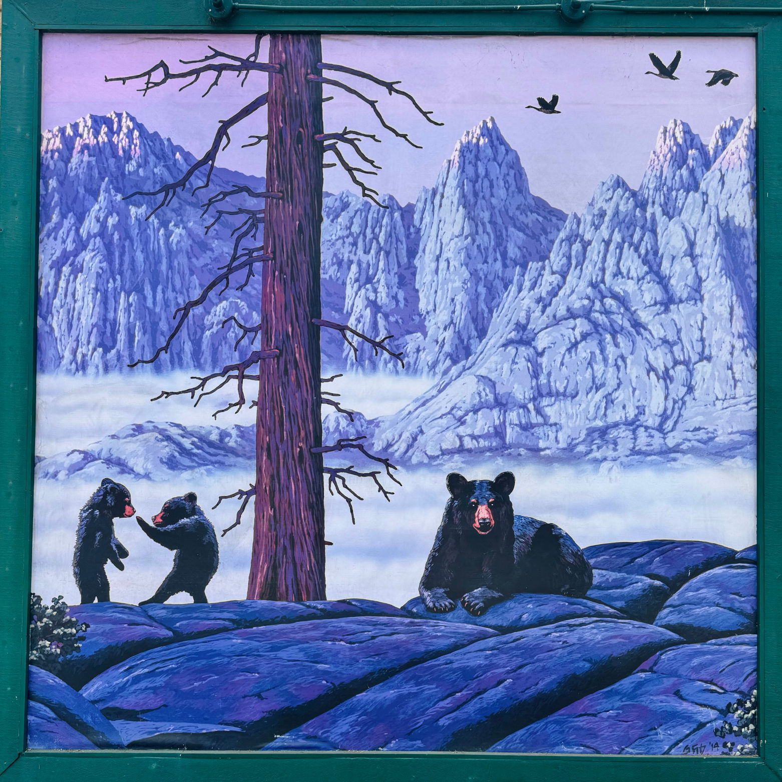 Mountain Bears Black Bear Diner Mountain Bears