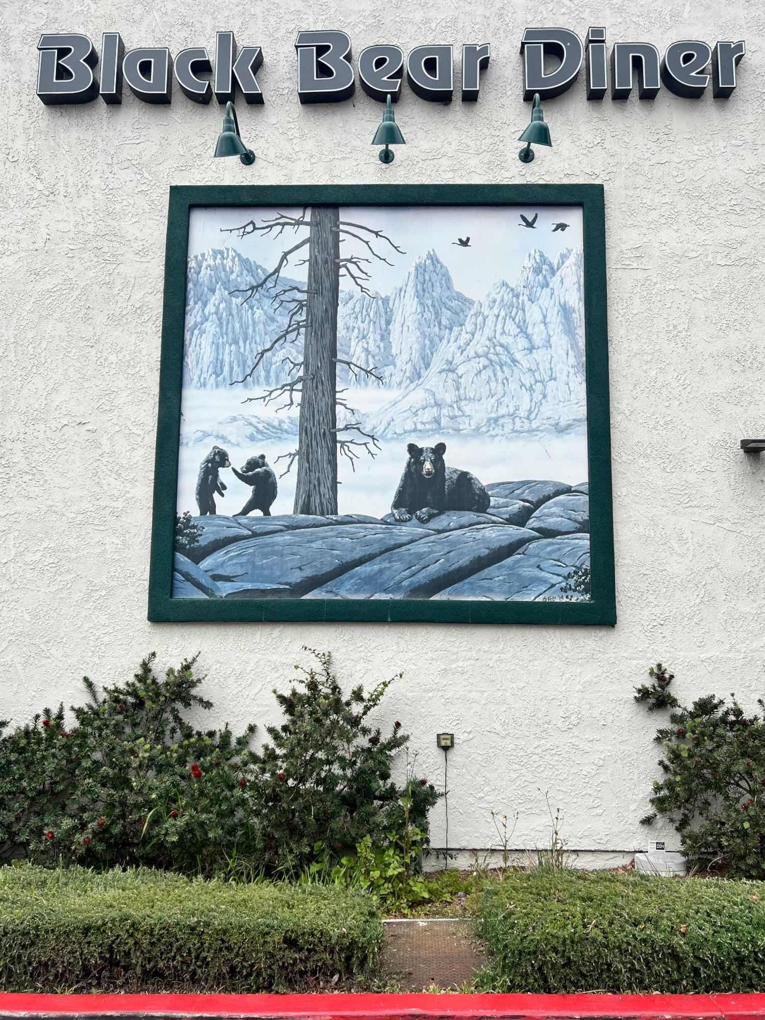 Mural Black Bear Diner Mural
