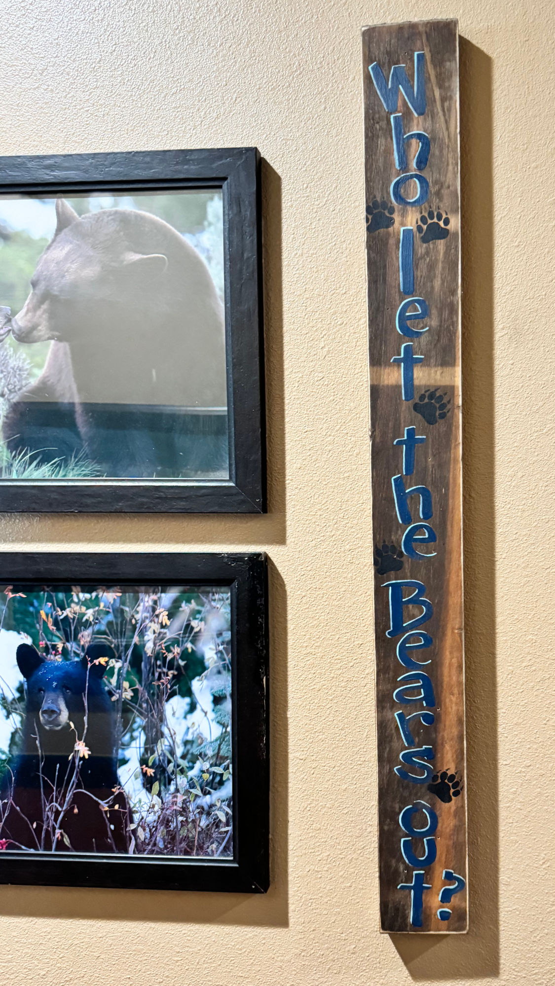 Who Let the Bears Out Black Bear Diner Who Let the Bears Out