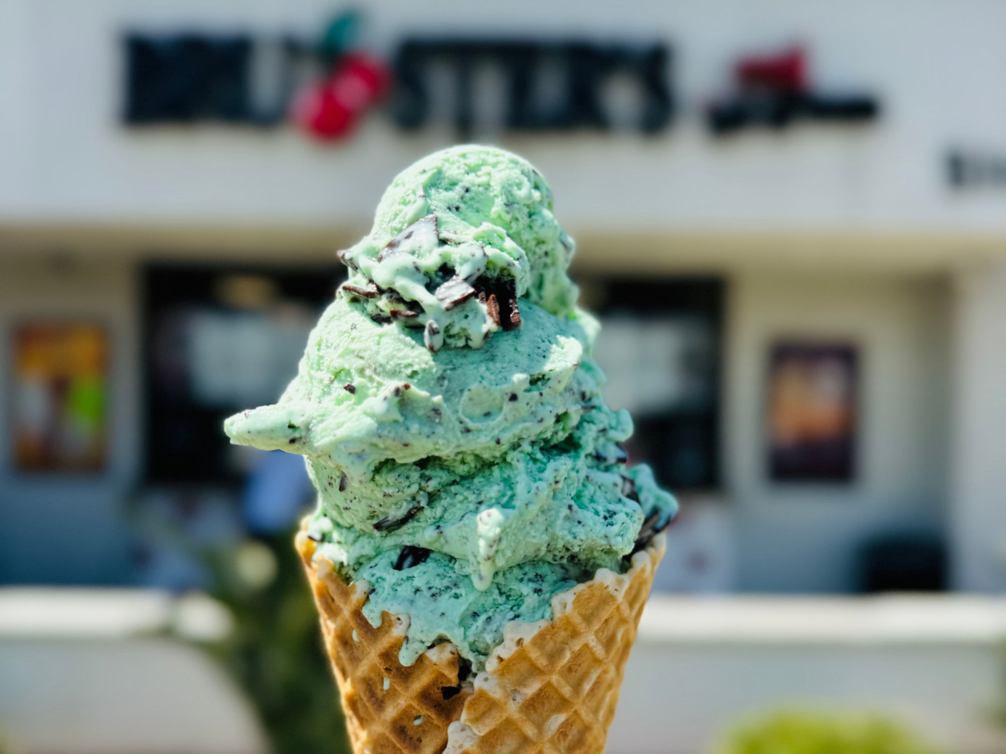 Mint Chocolate Chip Bruster's Ice Cream Mint Chocolate Chip