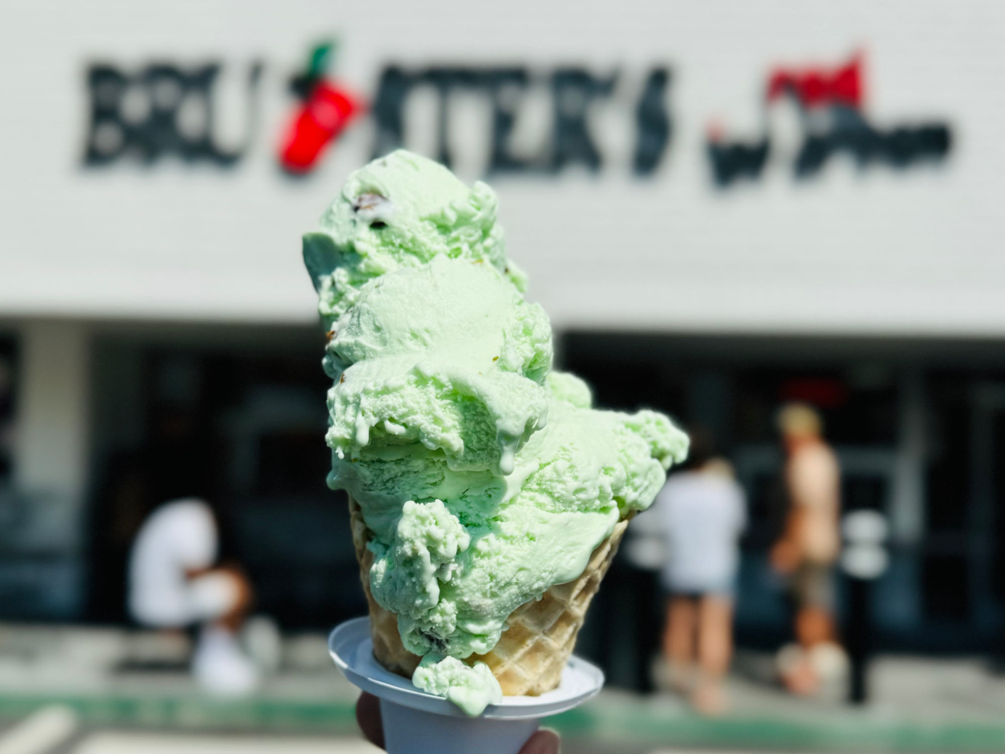 Pistachio Bruster's Ice Cream Pistachio