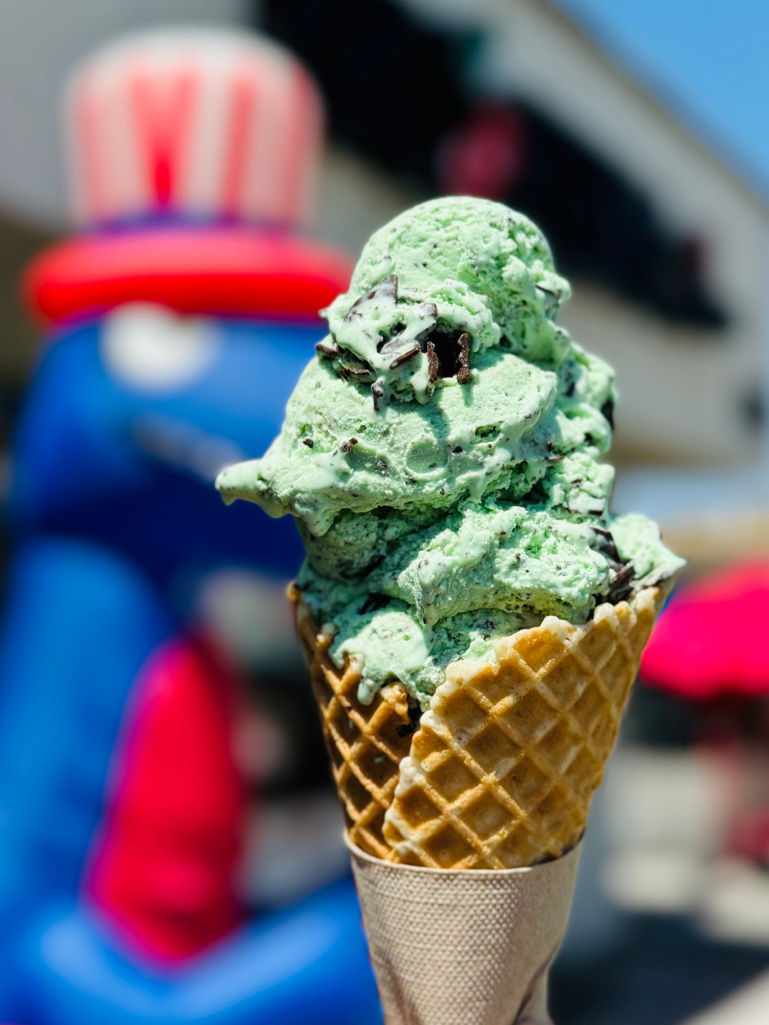 Mint Chocolate Chip Bruster's Mint Chocolate Chip