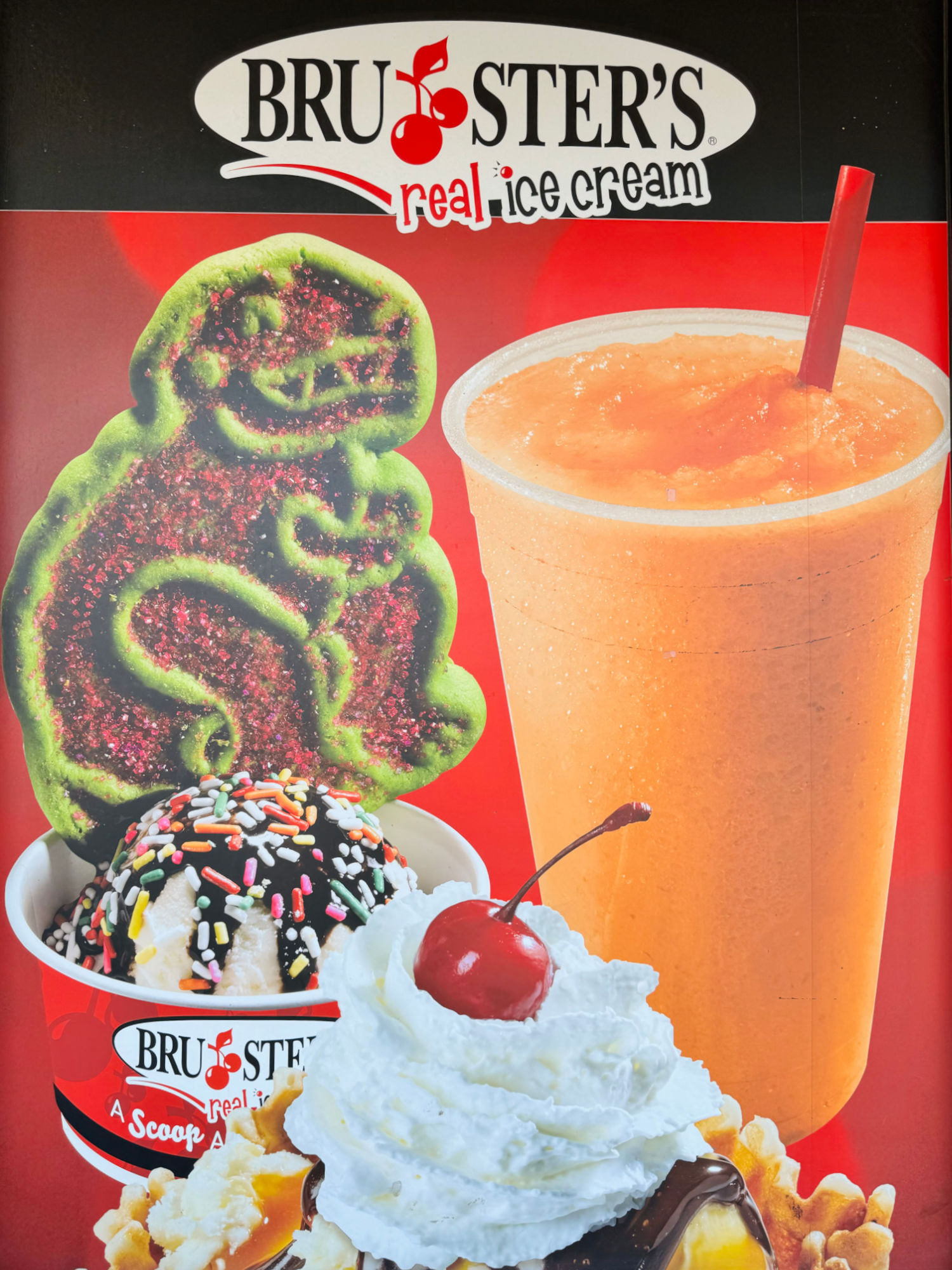 Real Ice Cream Bruster's Real Ice Cream