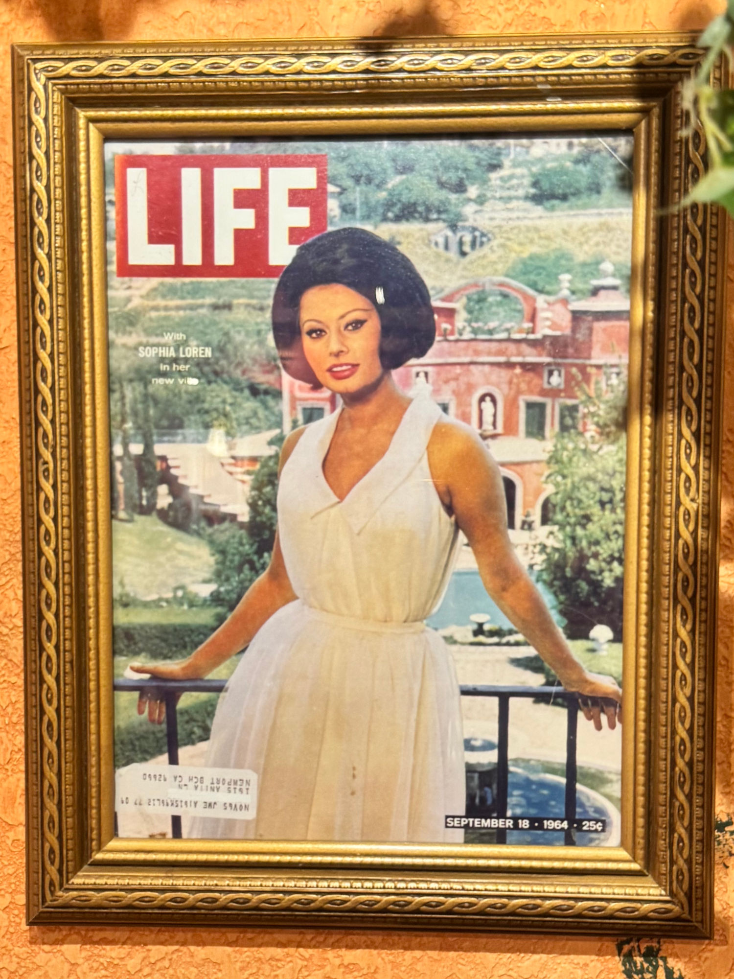 Buca di Beppo Sophia Loren