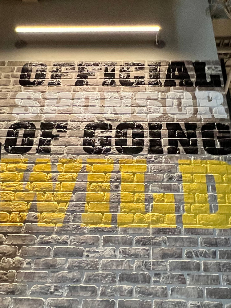 Going Wild Buffalo Wild Wings Going Wild