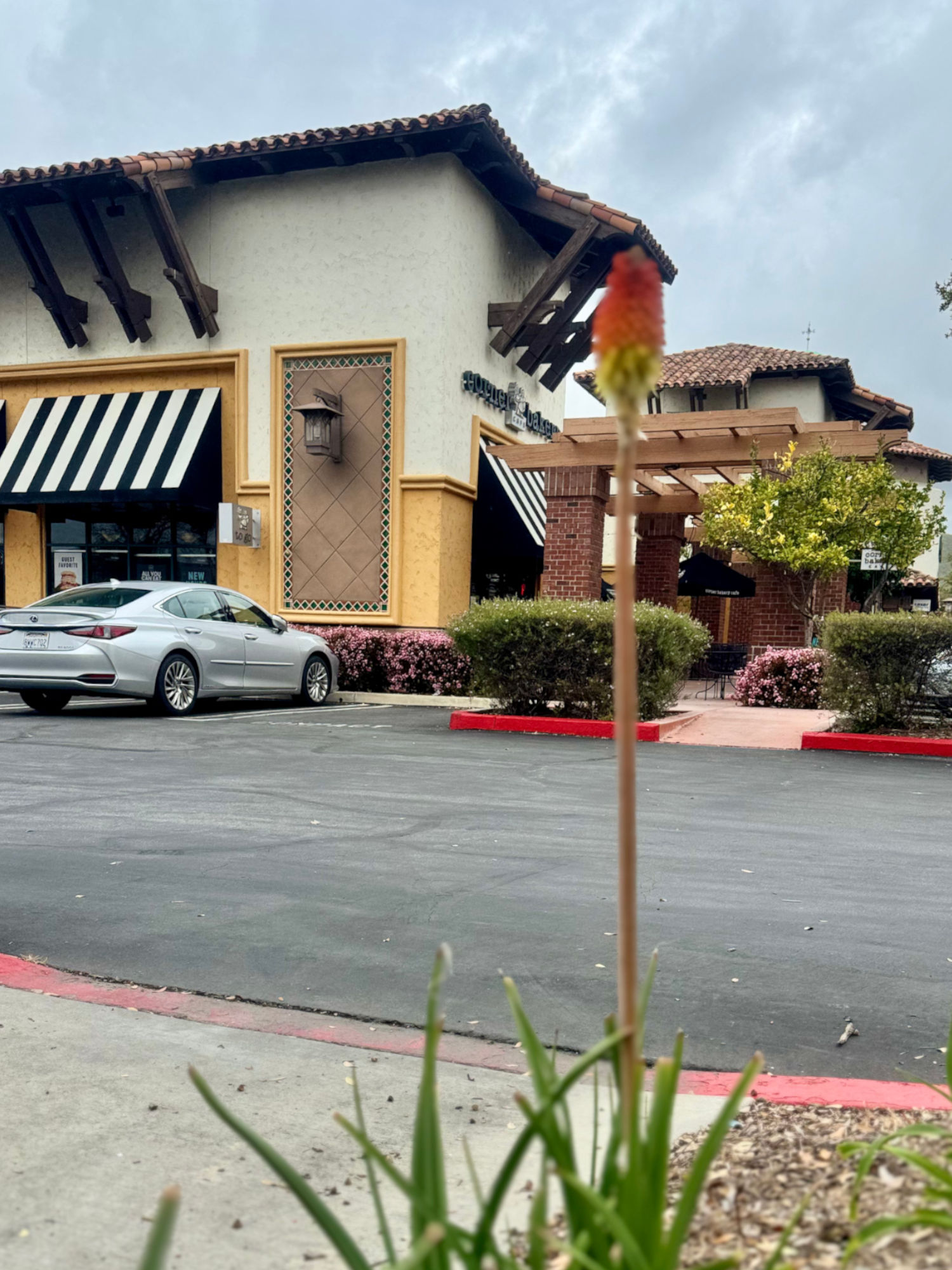 Aloe Westlake Corner Bakery Cafe Aloe Westlake