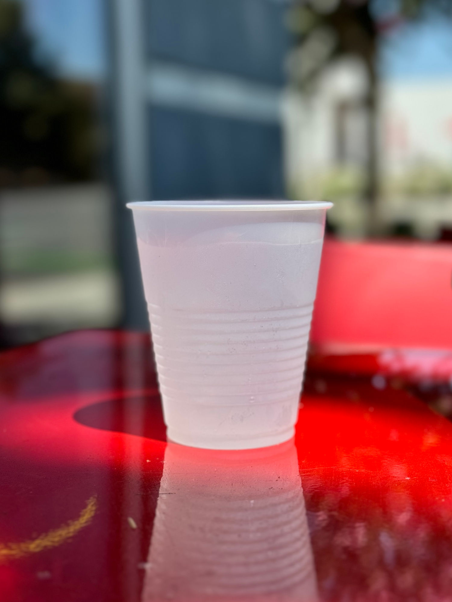 Water Cup Dave's Hot Chicken Water Cup