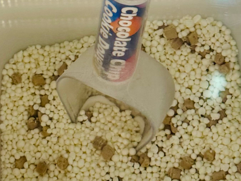 Dippin' Dots Chocolate Chip Cookie Dough