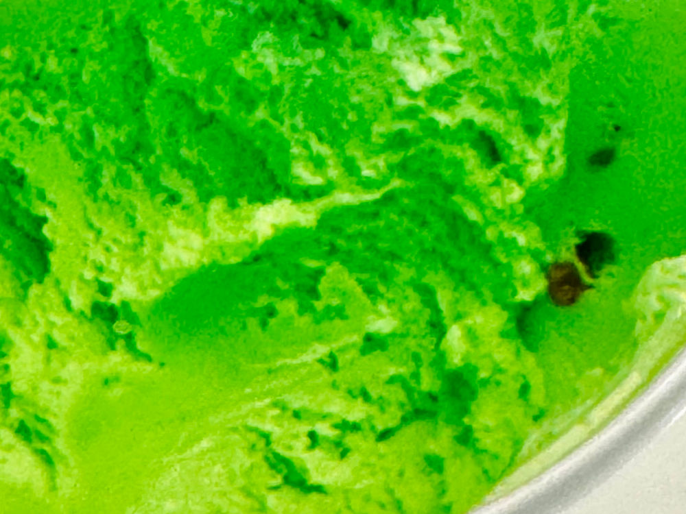 Dippin' Dots Scoops Pistachio