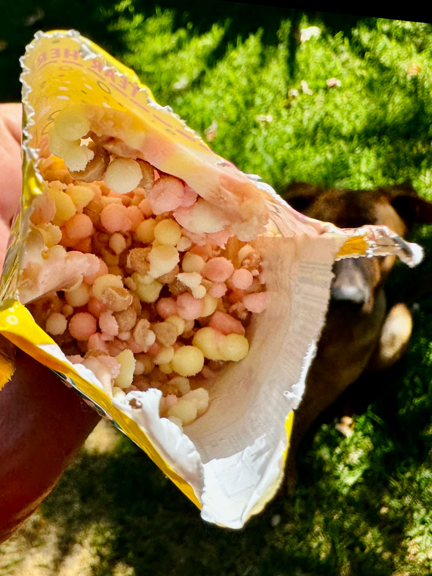 Dippin' Dots Store Bought Banana Split