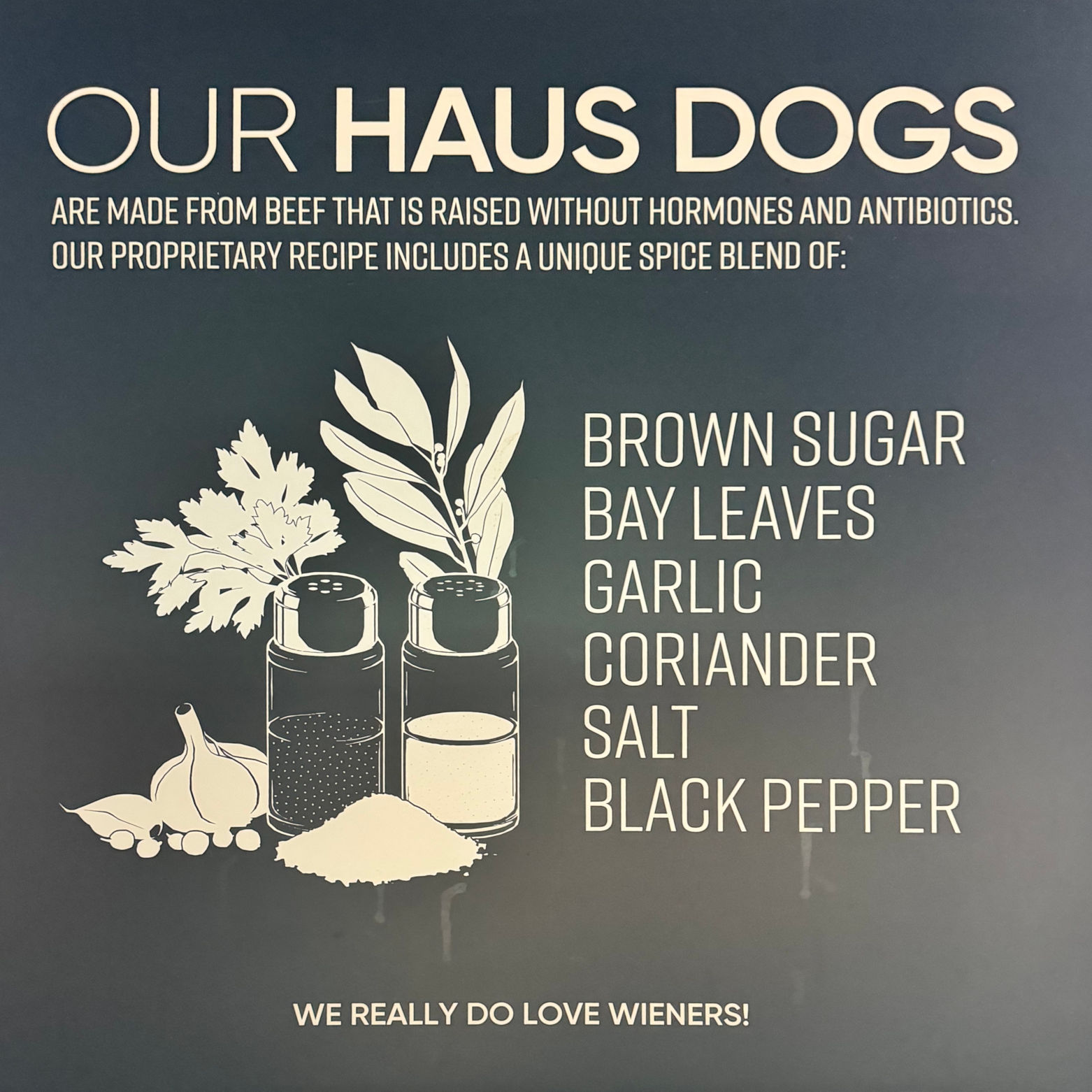 Dogs Dog Haus Dogs