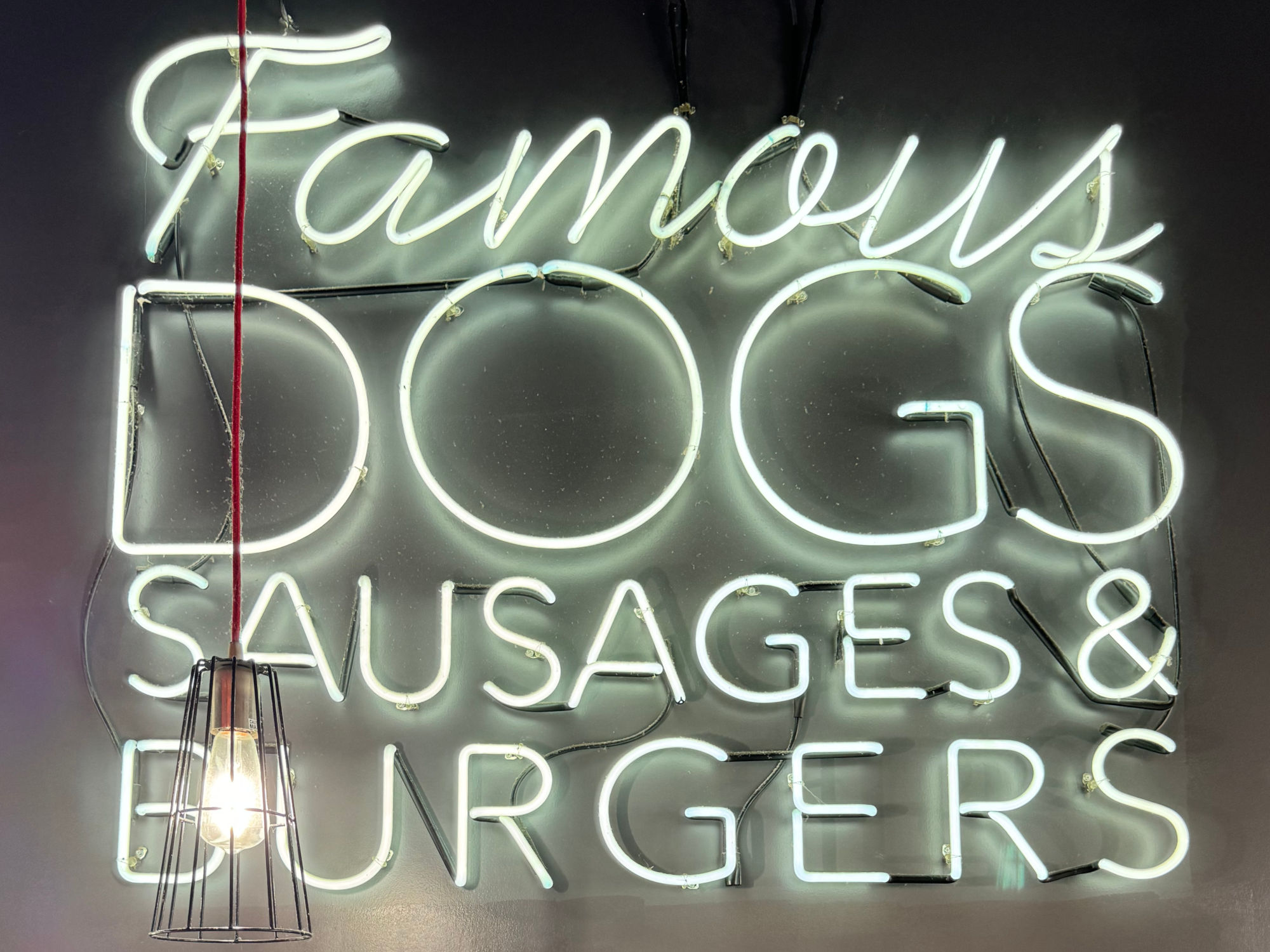Famous Neon Dog Haus Famous Neon