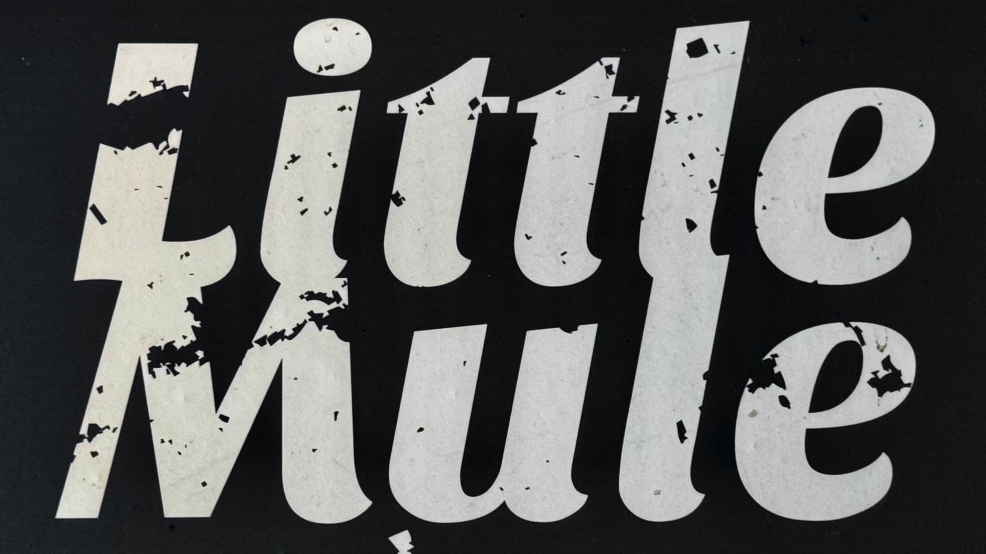 Dog Haus Little Mule Wallpaper