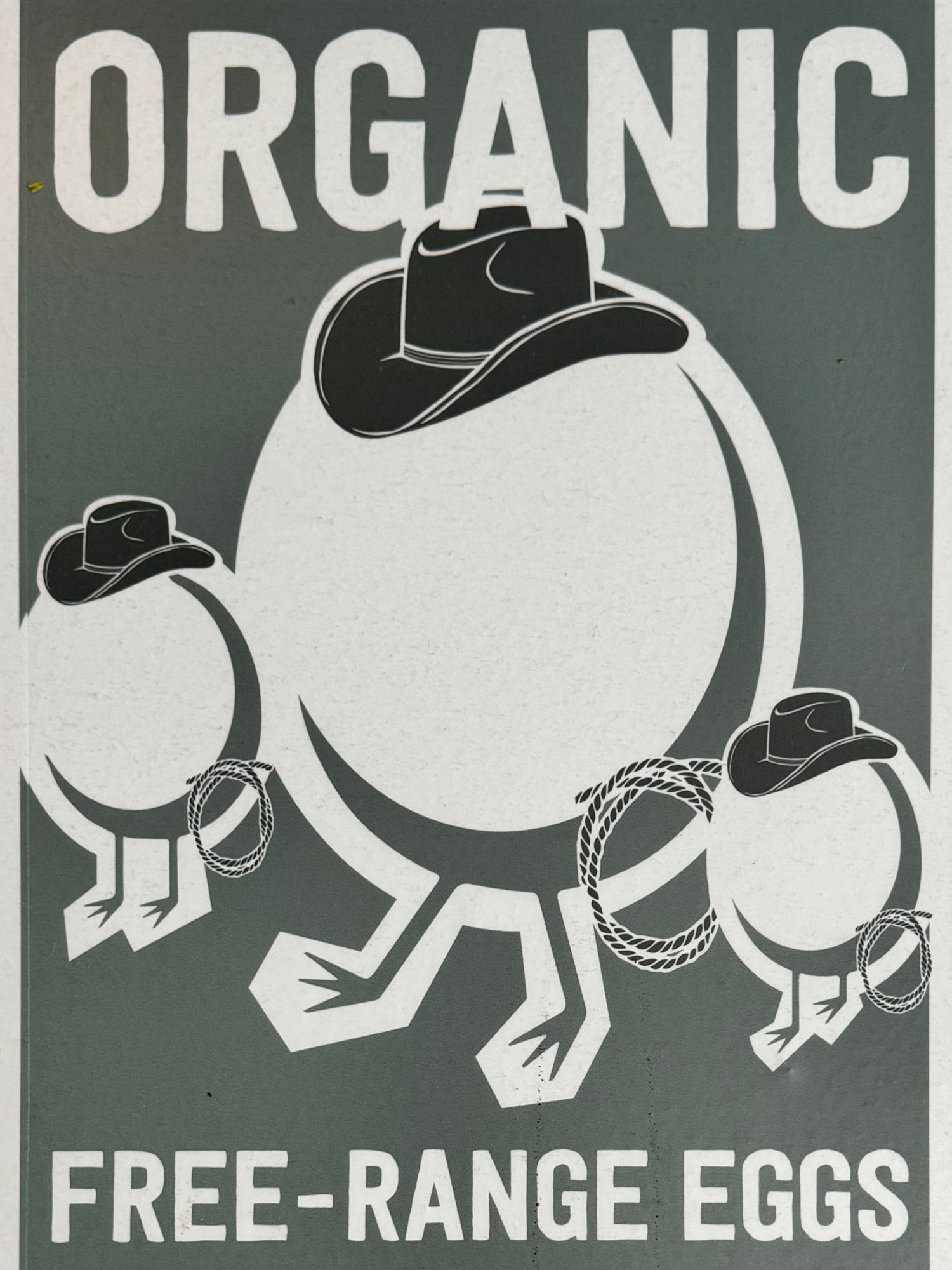 Organic Free-Range Eggs Dog Haus Organic Free-Range Eggs