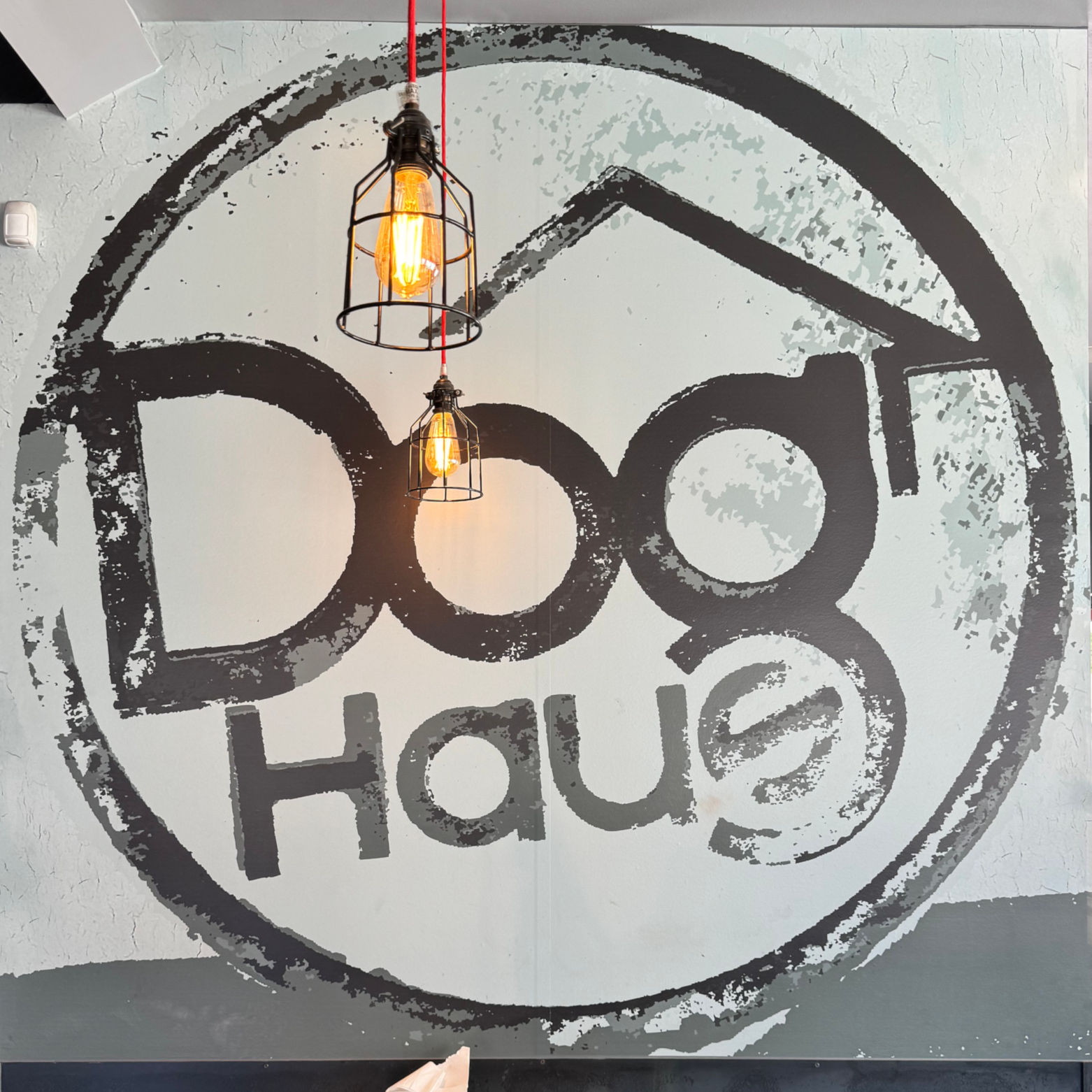 Wallpaper Logo Dog Haus Wallpaper Logo