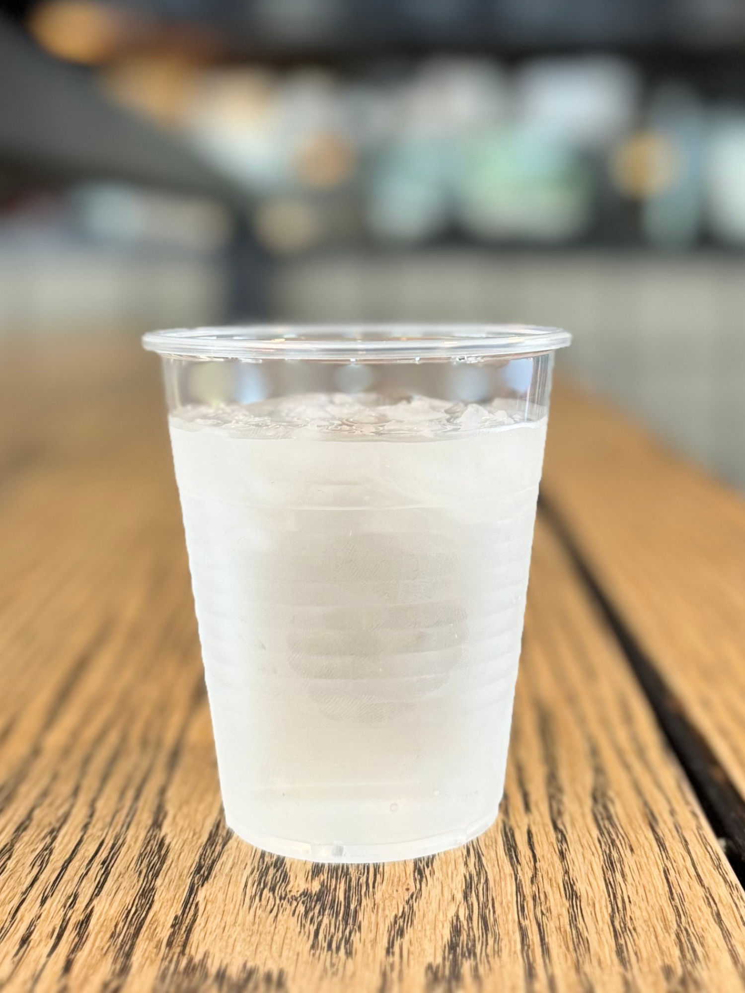 Water Cup Dog Haus Water Cup