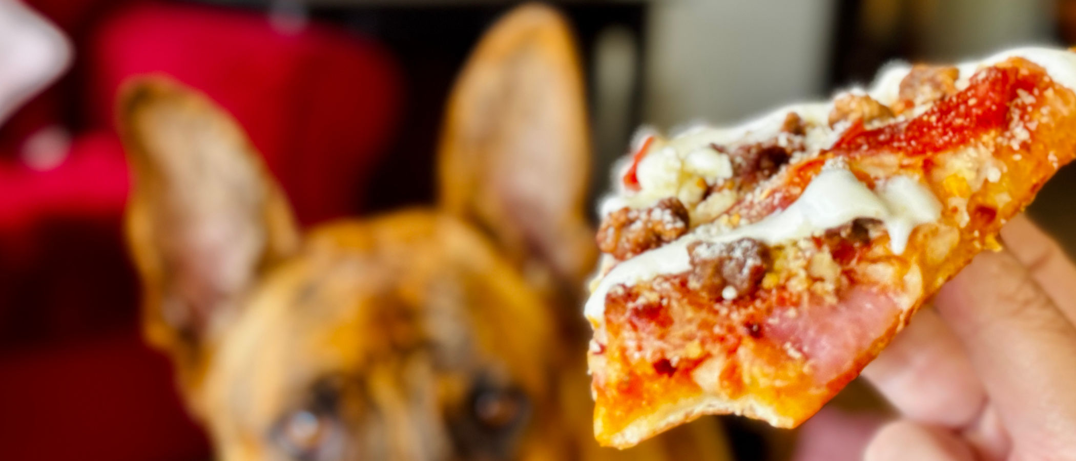 Domino's Meatzza Pizza