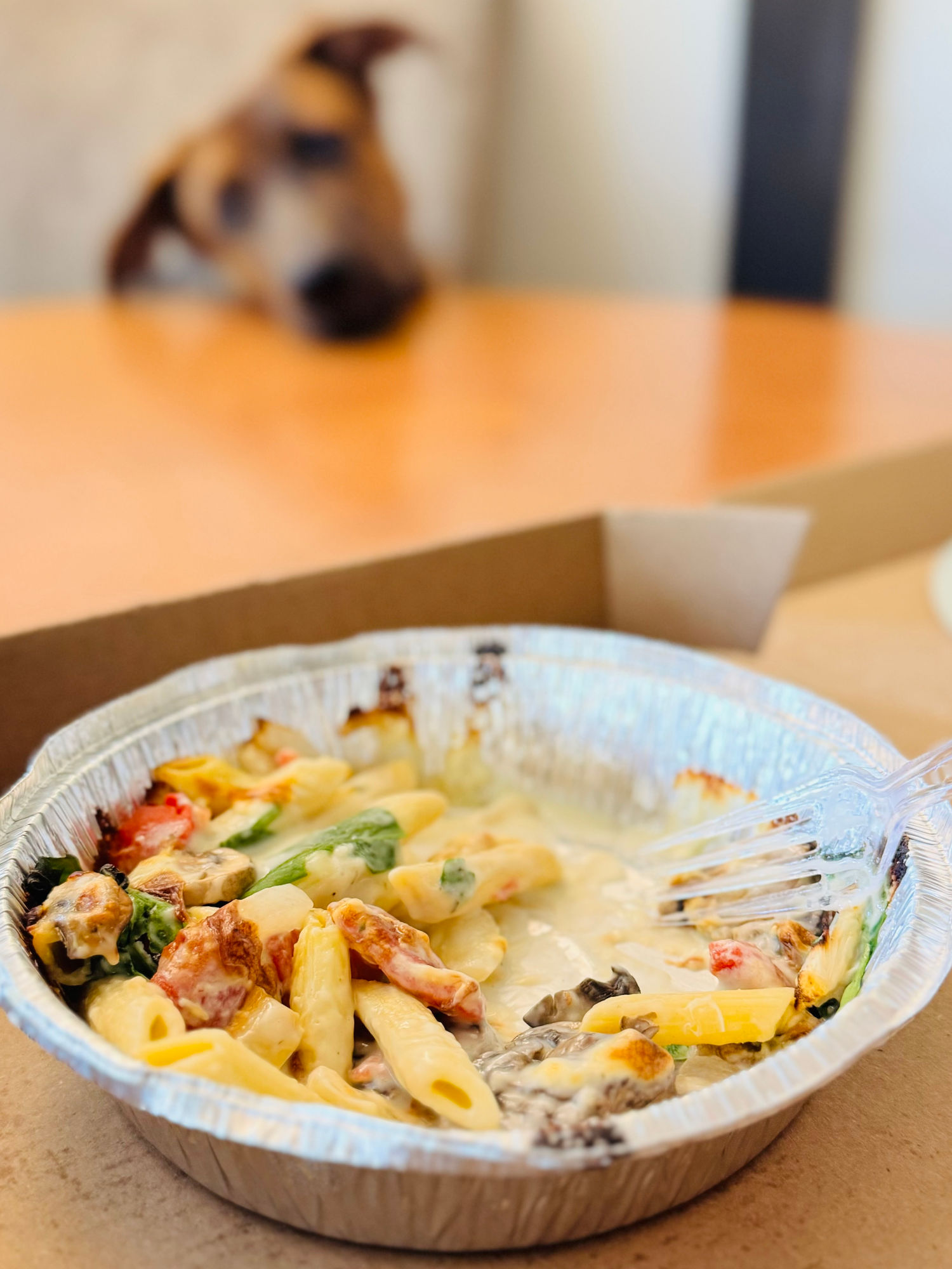 Domino's Oven Baked Pasta Primavera