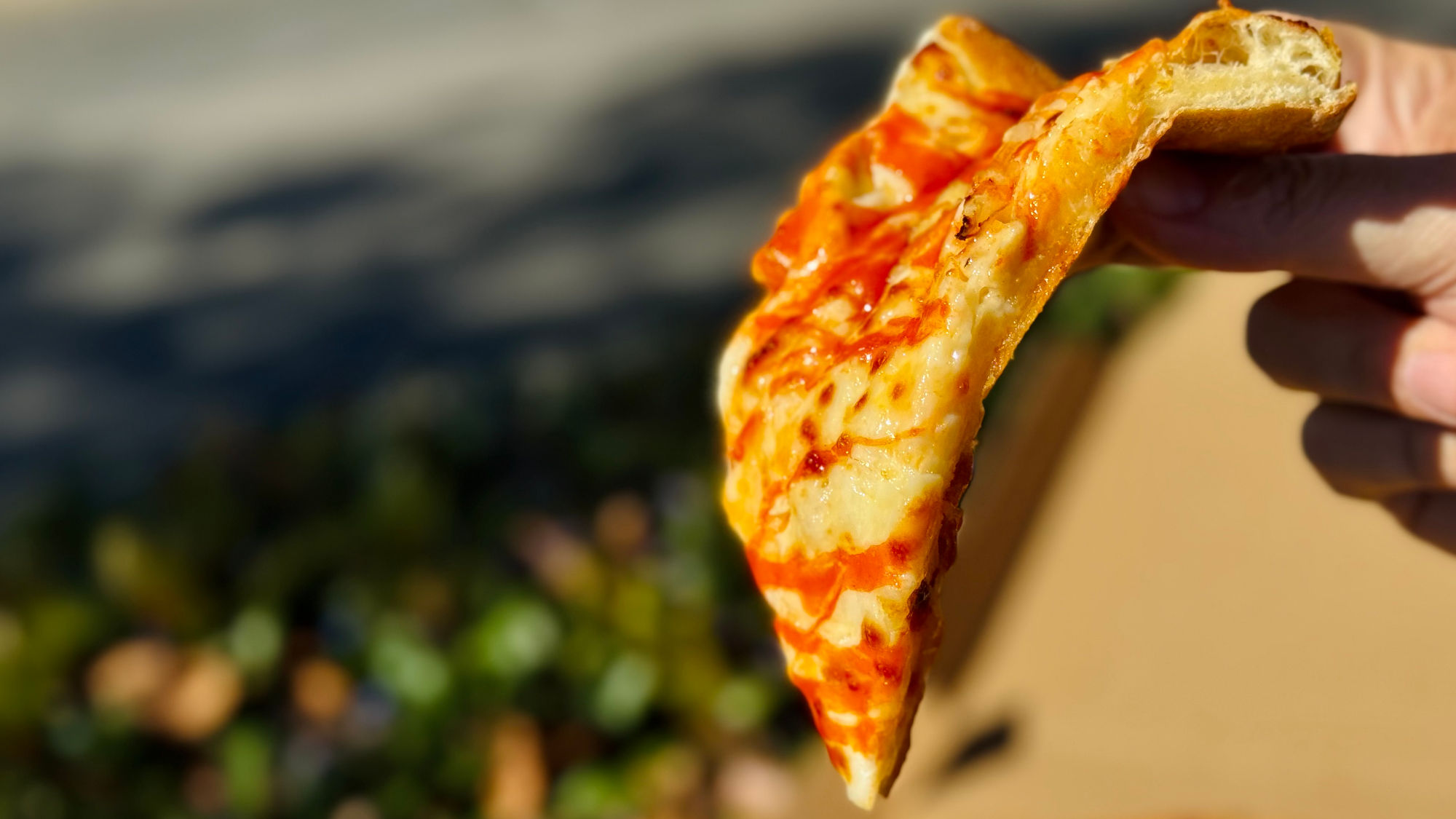 Domino's Pizza Buffalo Chicken Pizza