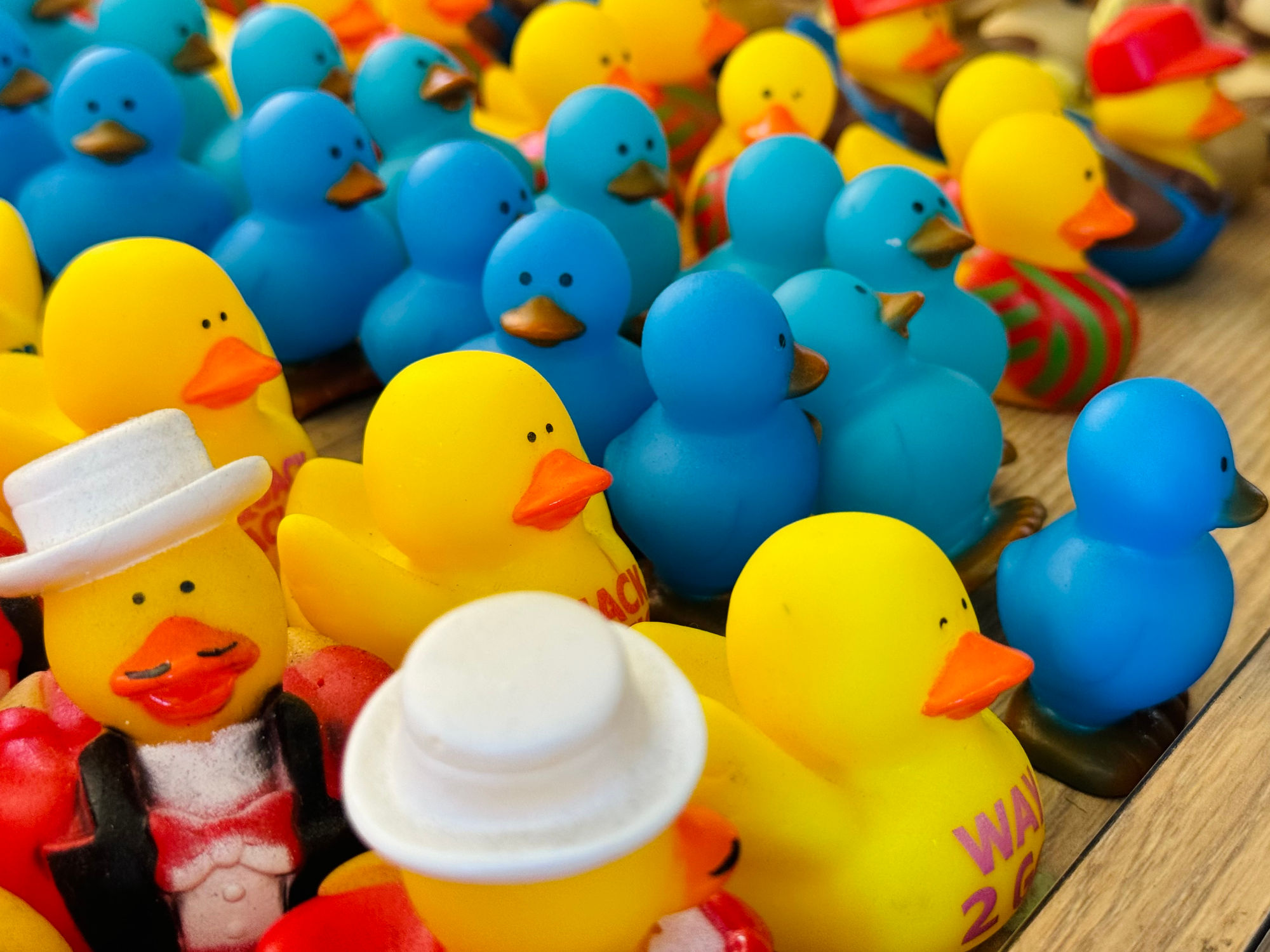 Duck Donuts Blue Rubber Ducks