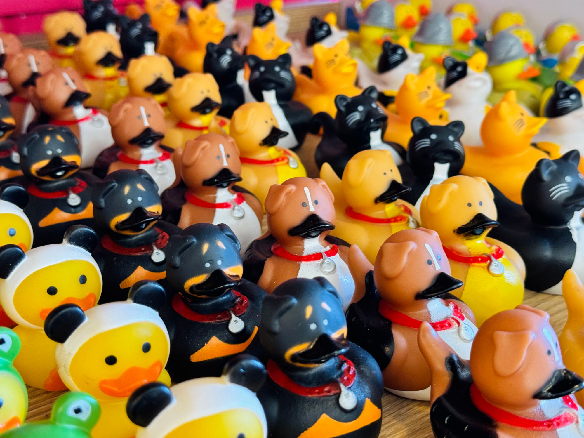 Duck Donuts Dog Rubber Ducks