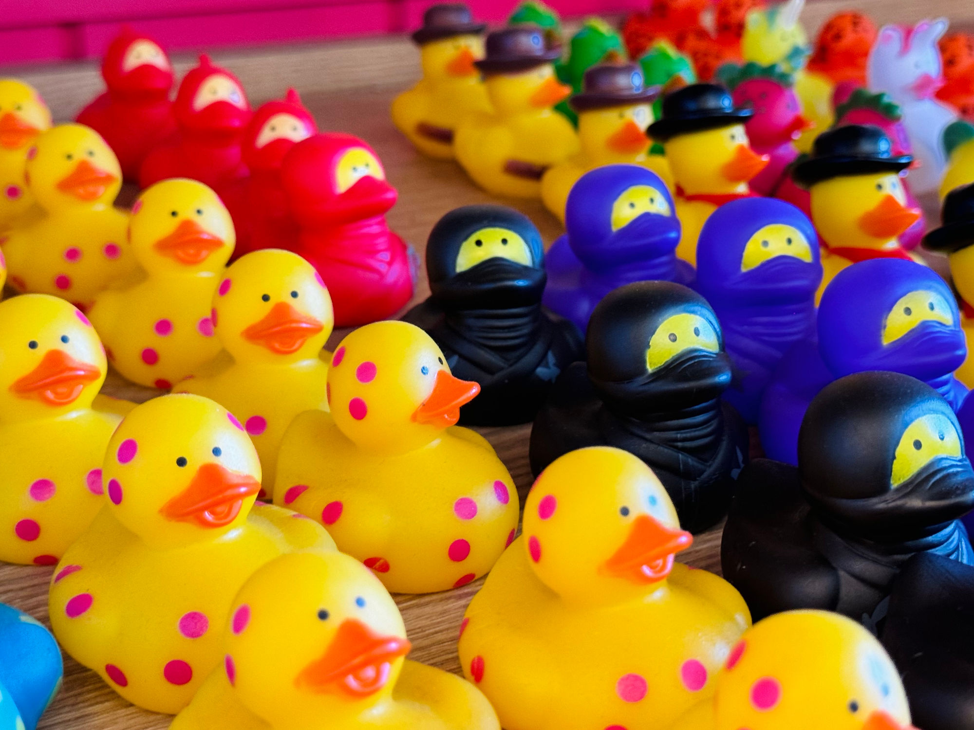 Duck Donuts Hijab Rubber Ducks