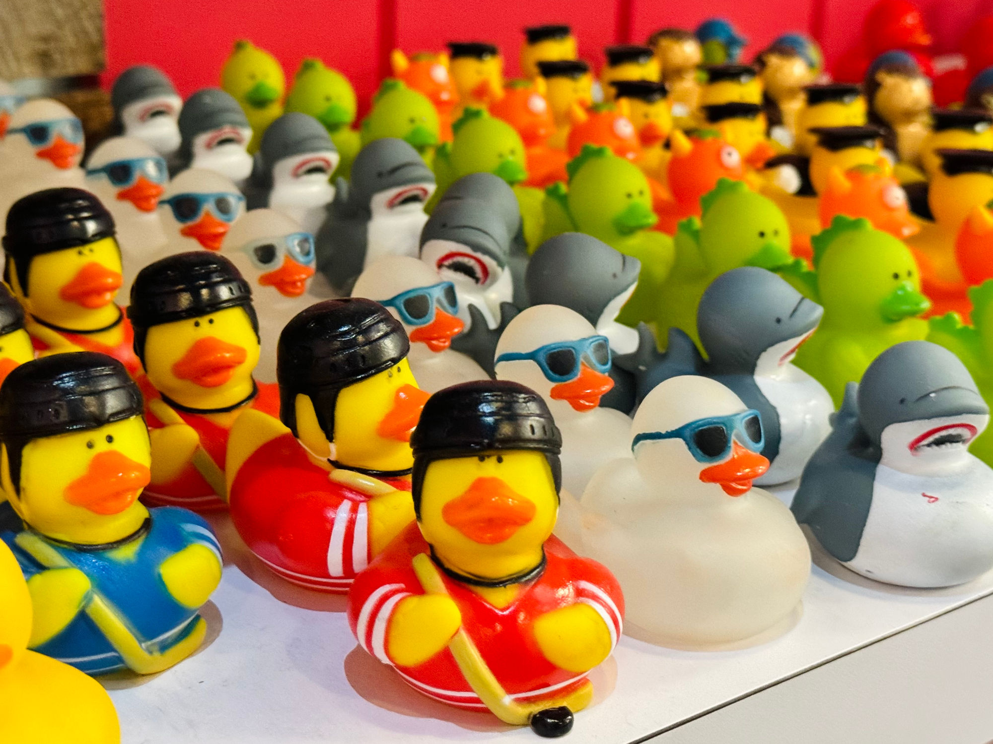 Duck Donuts Hockey Rubber Ducks