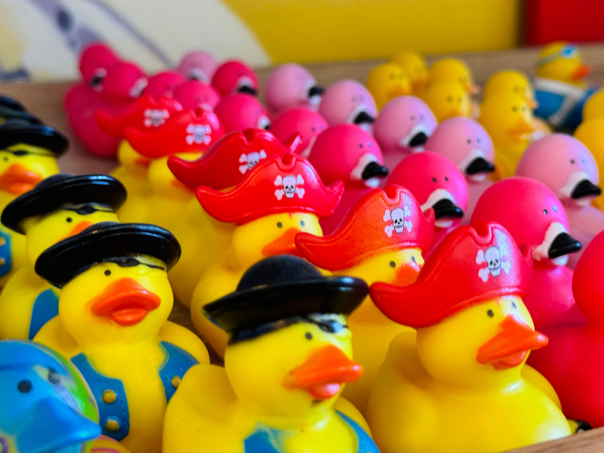 Duck Donuts Pirate Rubber Ducks