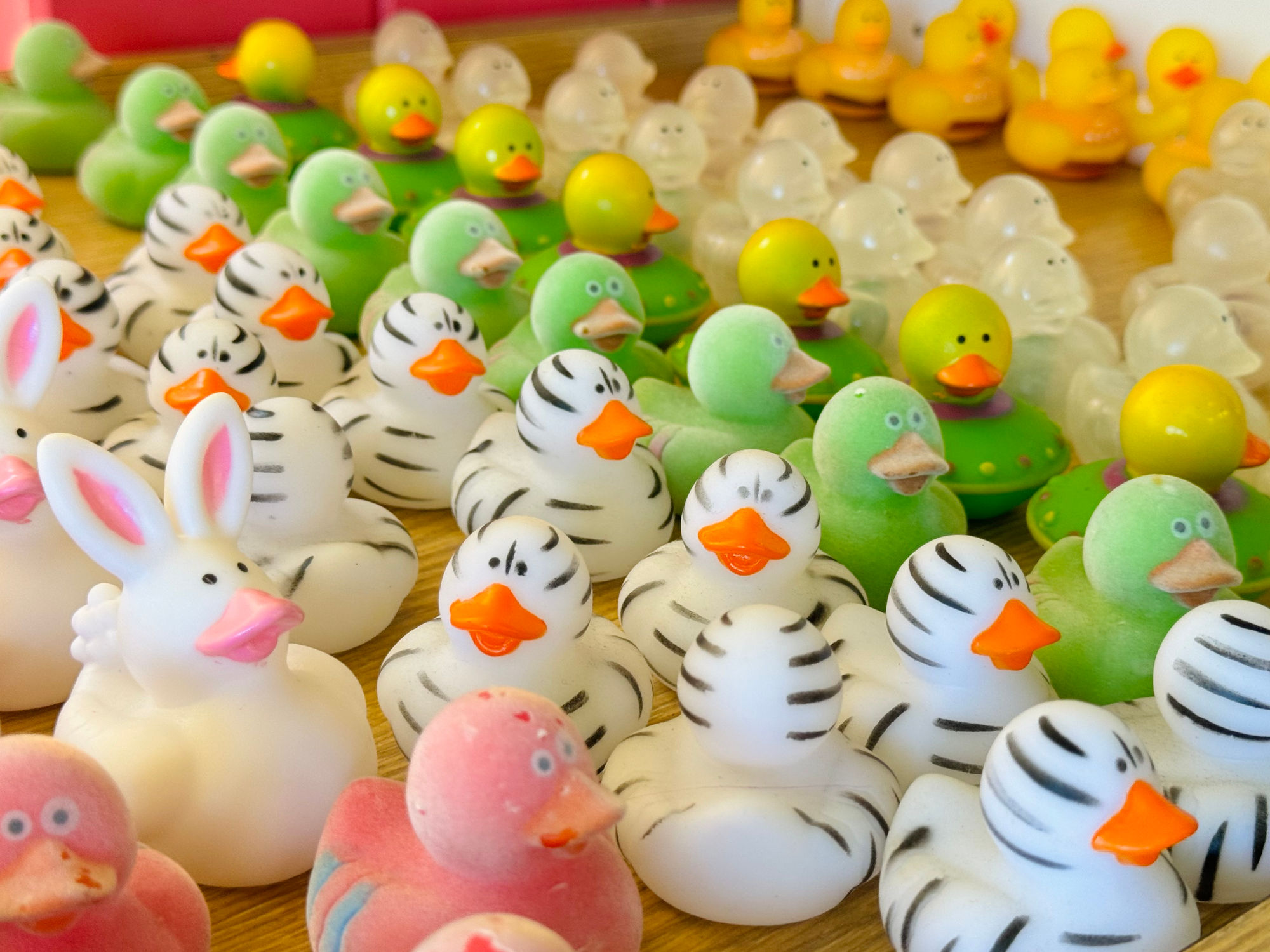 Duck Donuts Rabbit Rubber Ducks