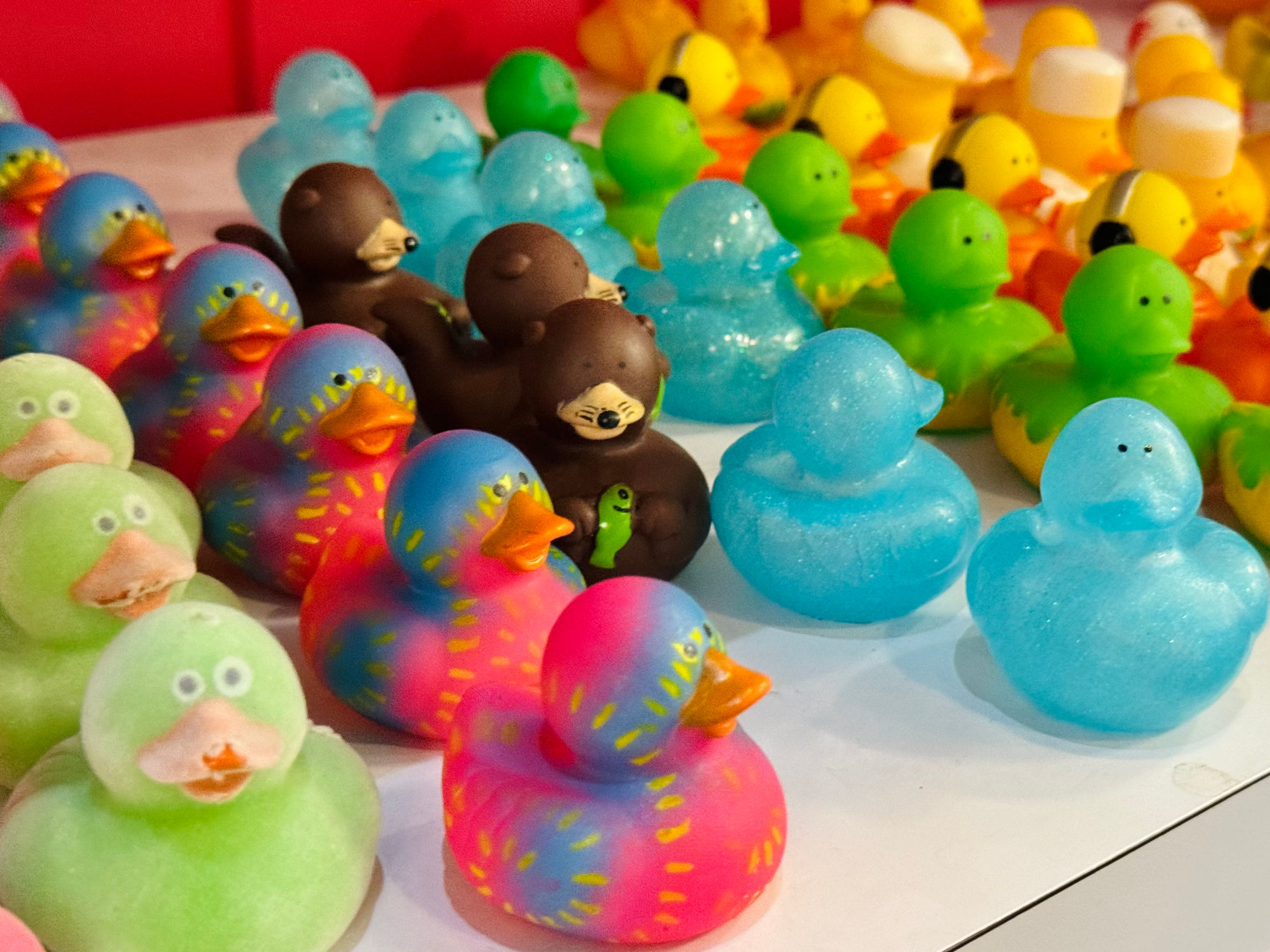 Duck Donuts Rainbow Rubber Ducks