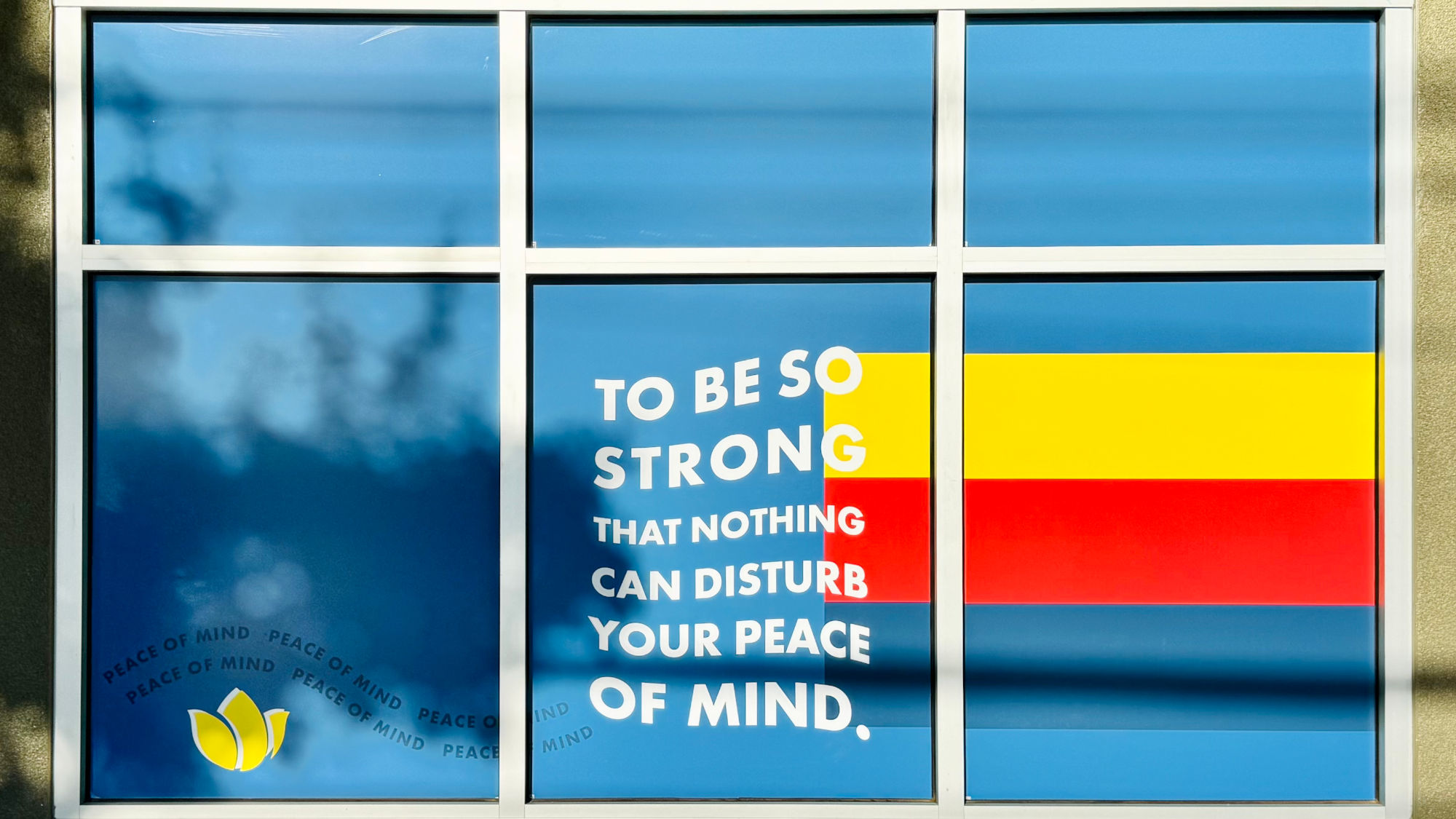 Dutch Bros Coffee Be So Strong That Nothing Can Disturb Your Peace of Mind