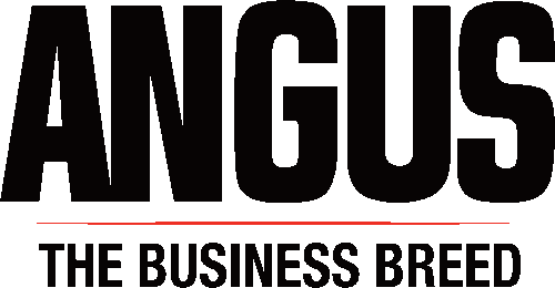 American Angus Association