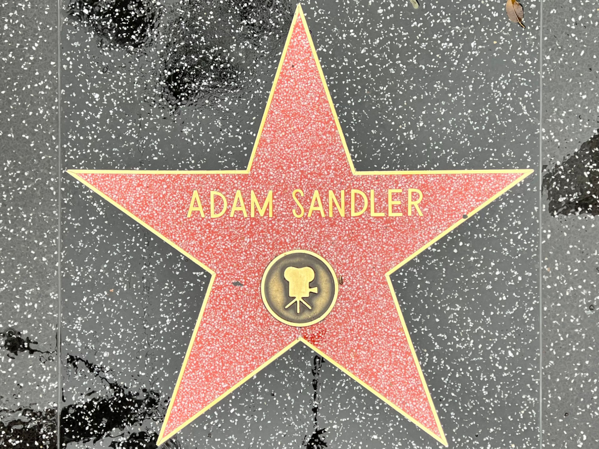 Hollywood Walk of Fame