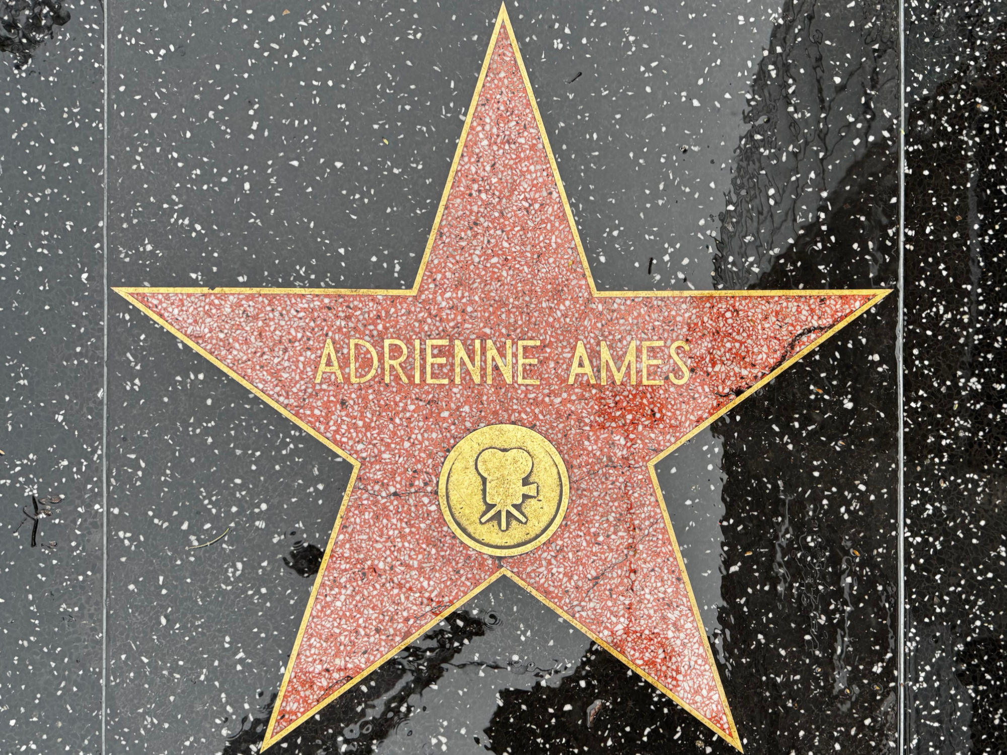 Hollywood Walk of Fame Hollywood Walk of Fame