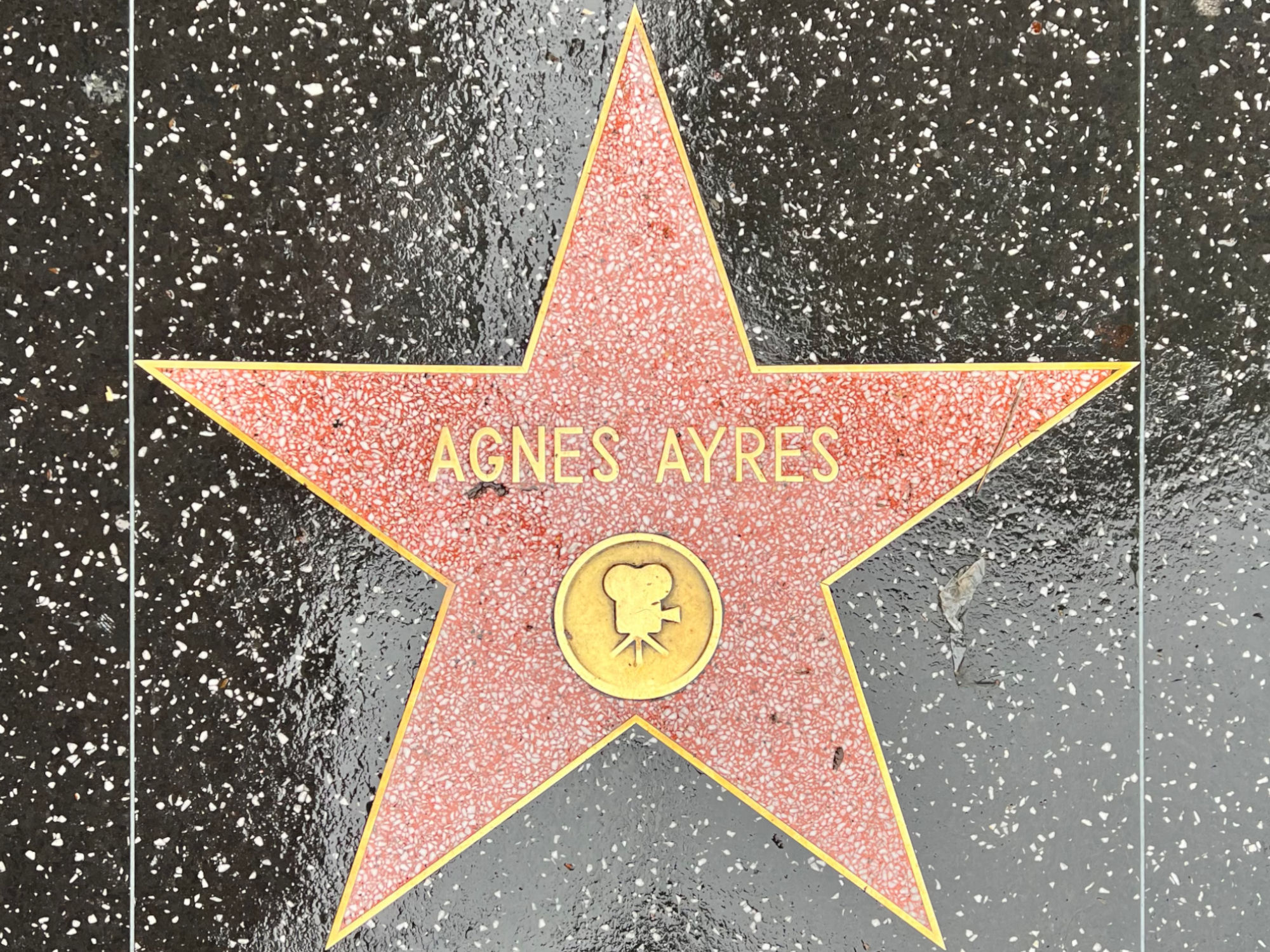 Hollywood Walk of Fame