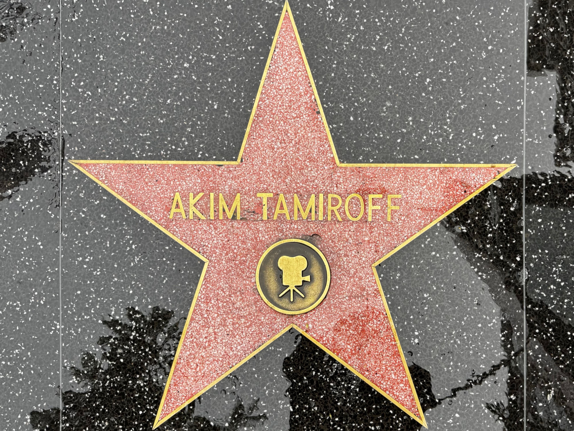 Hollywood Walk of Fame Hollywood Walk of Fame