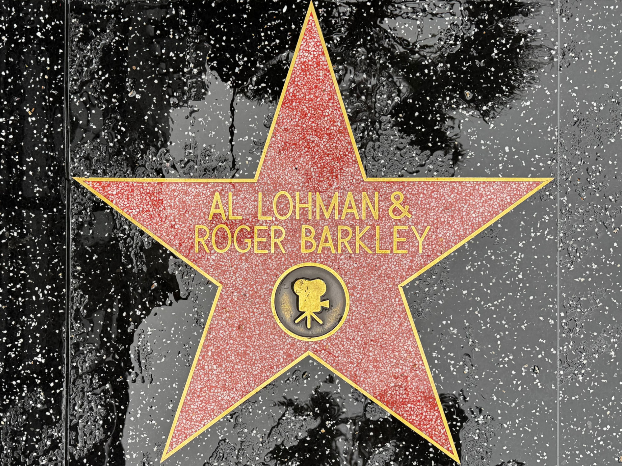 Hollywood Walk of Fame Hollywood Walk of Fame