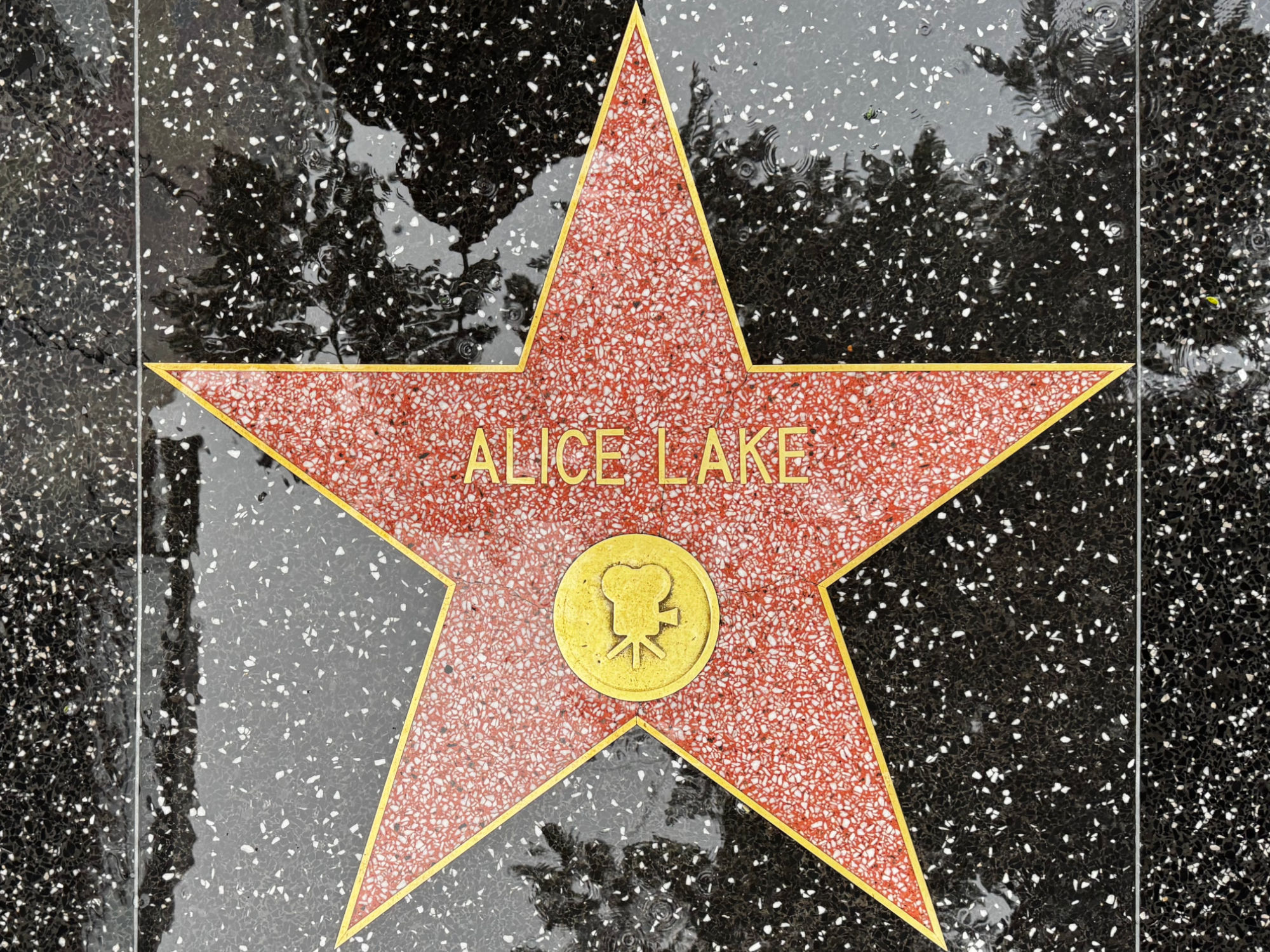 Hollywood Walk of Fame Hollywood Walk of Fame