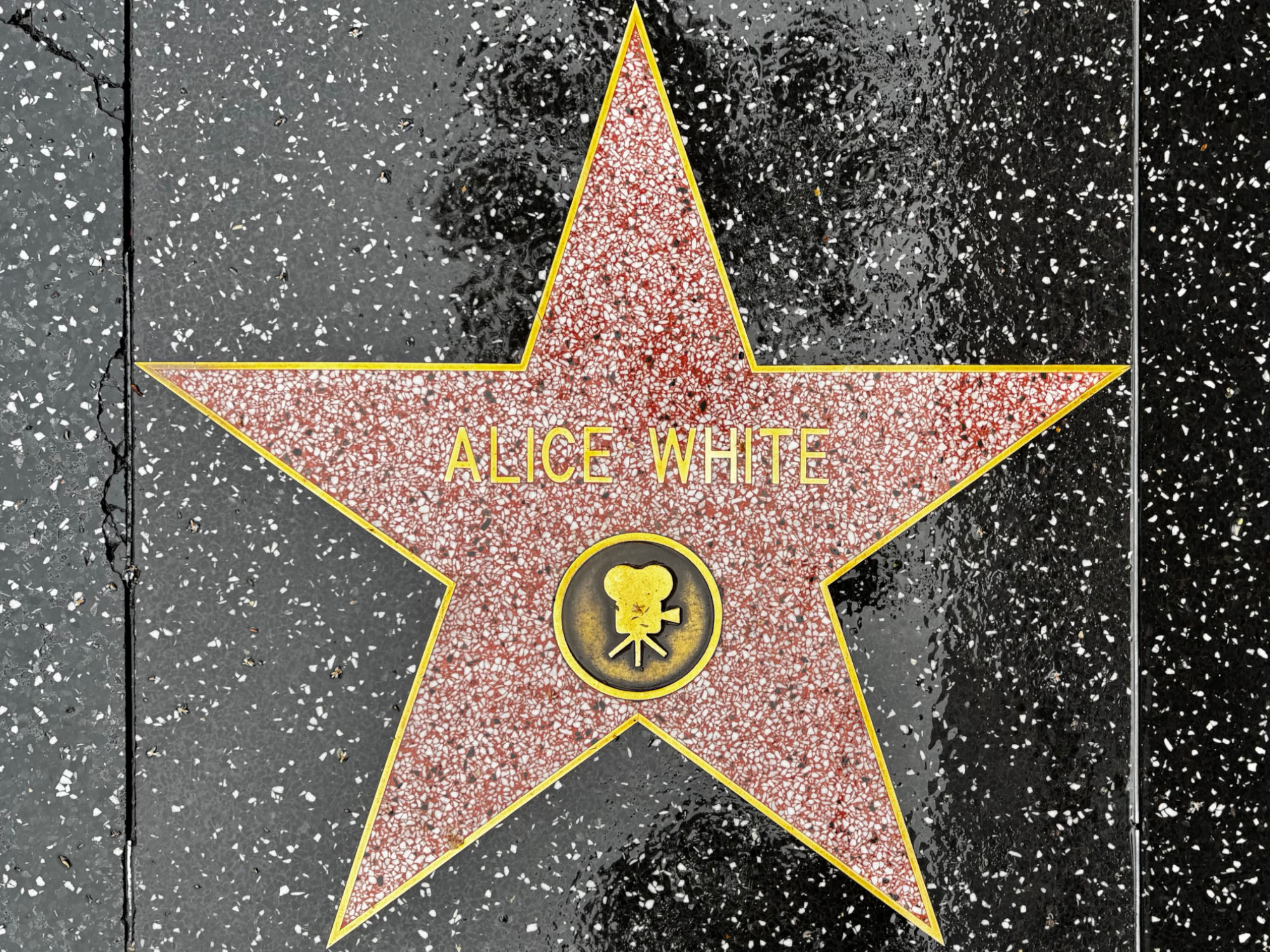 Hollywood Walk of Fame Hollywood Walk of Fame