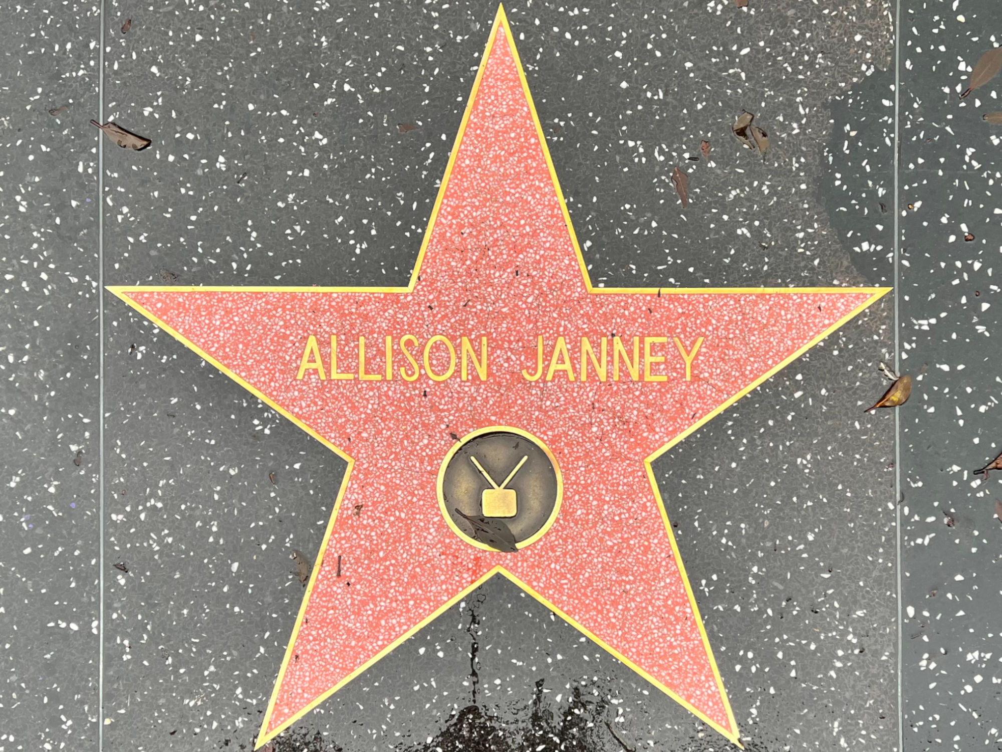 Hollywood Walk of Fame