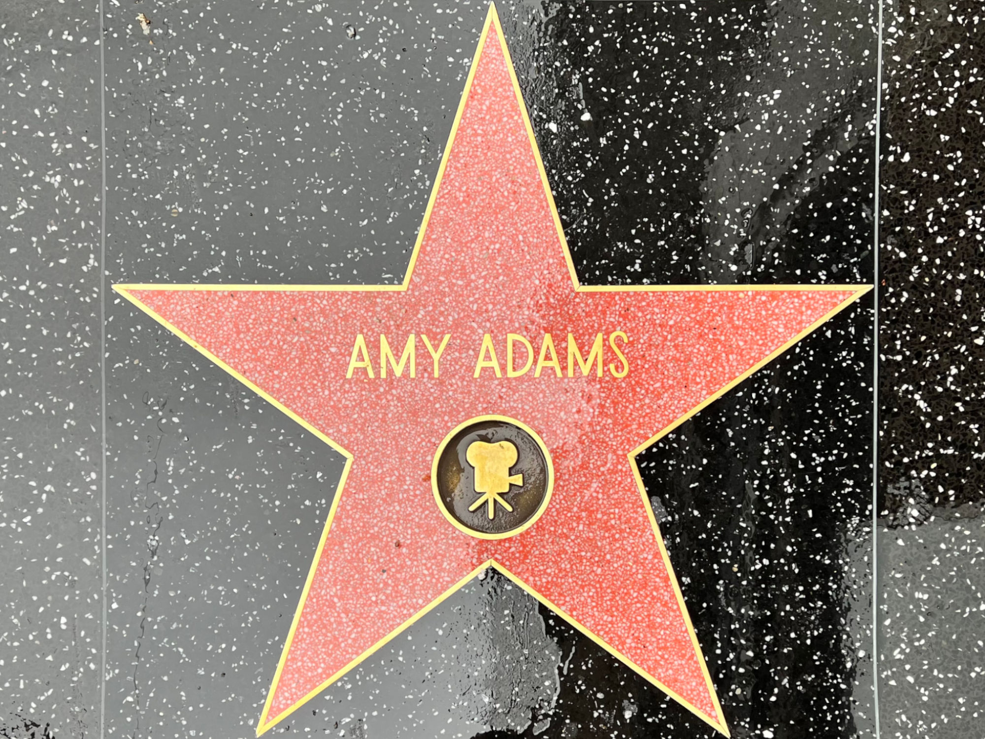 Hollywood Walk of Fame