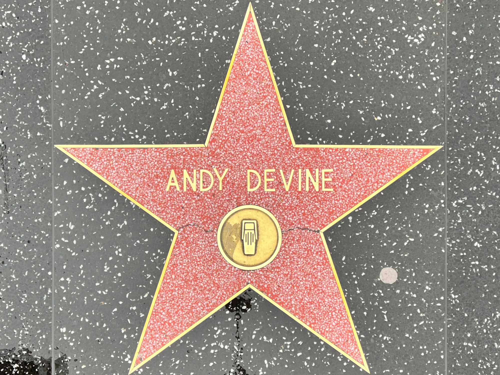 Andy Devine's Radio Star