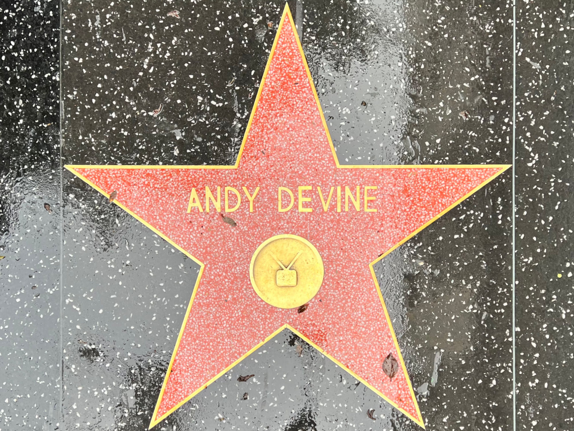Hollywood Walk of Fame