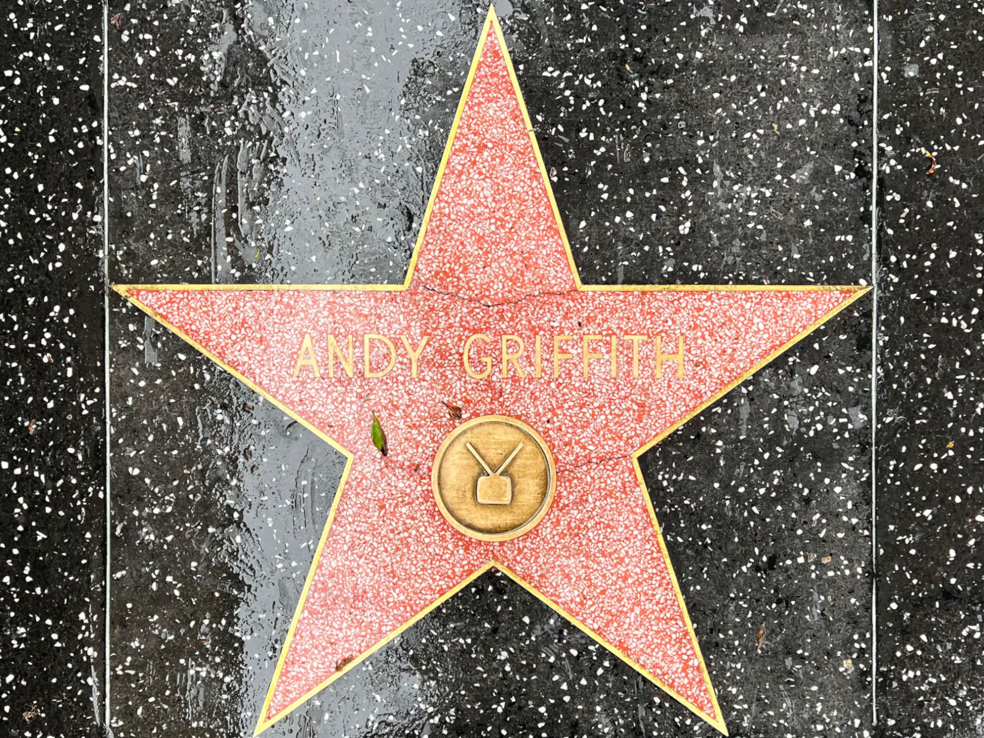 Hollywood Walk of Fame